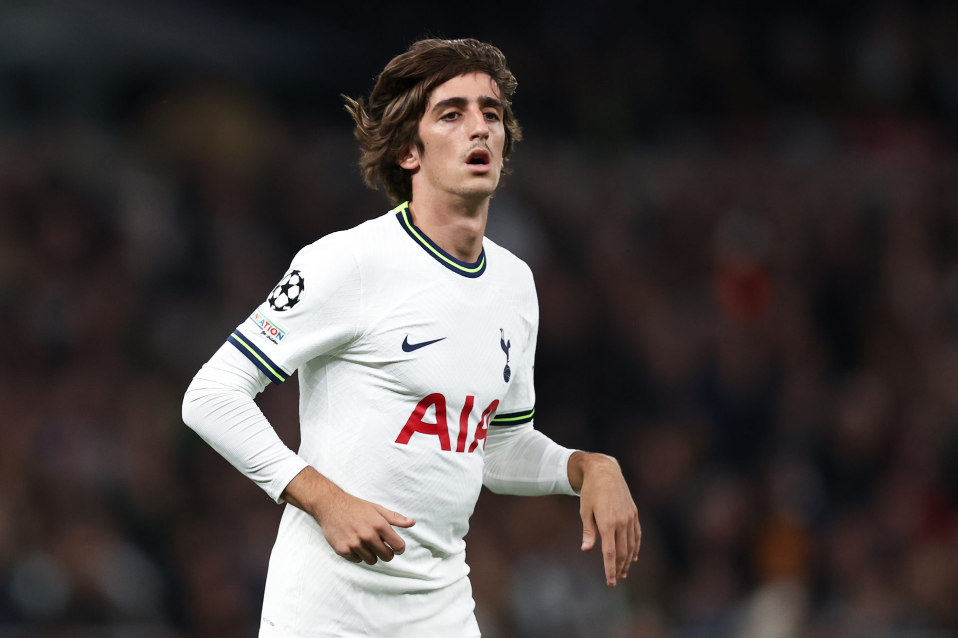 Tottenham Hotspur v Sporting CP: Group D - UEFA Champions League