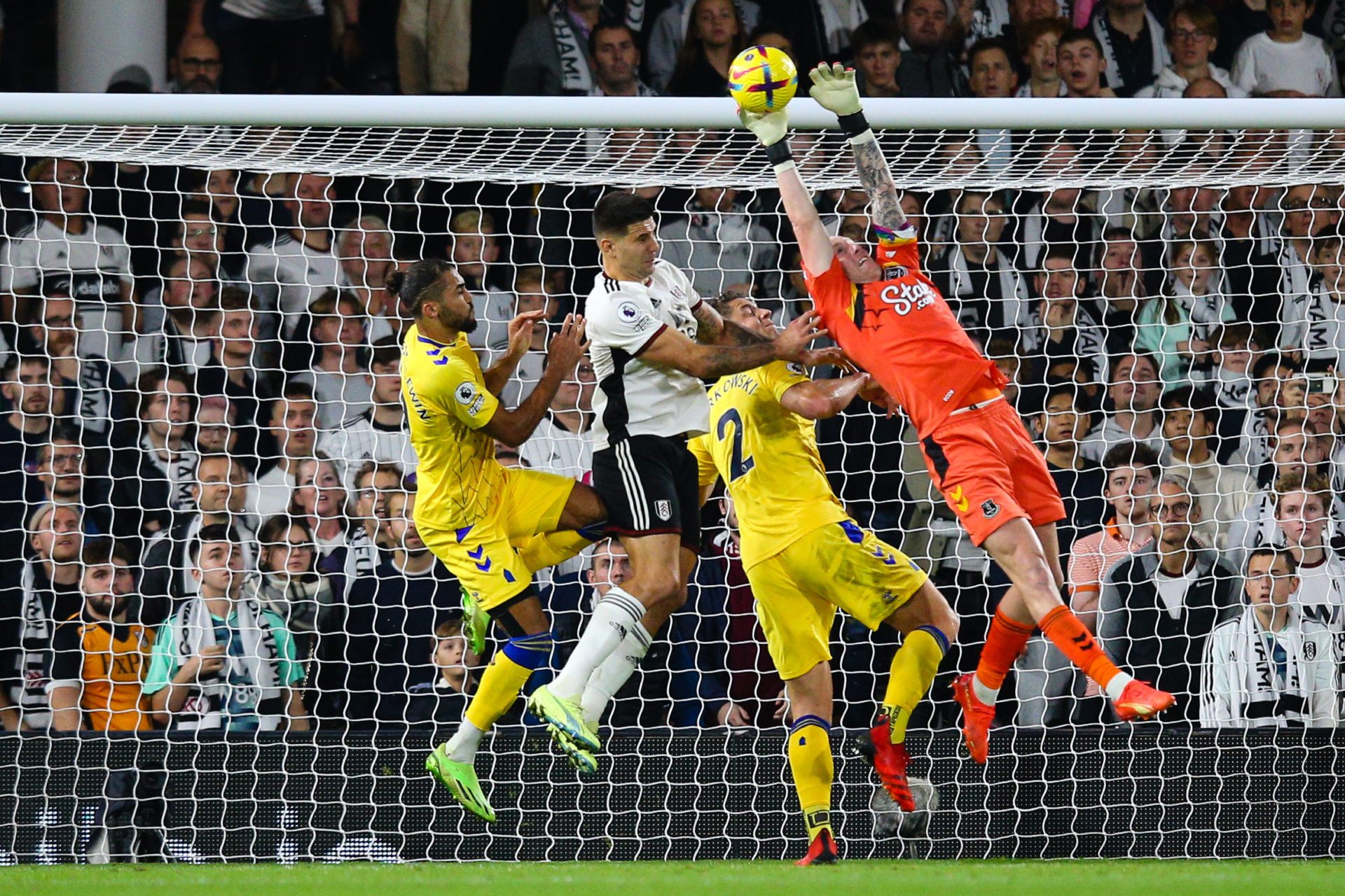 Fulham FC v Everton FC - Premier League