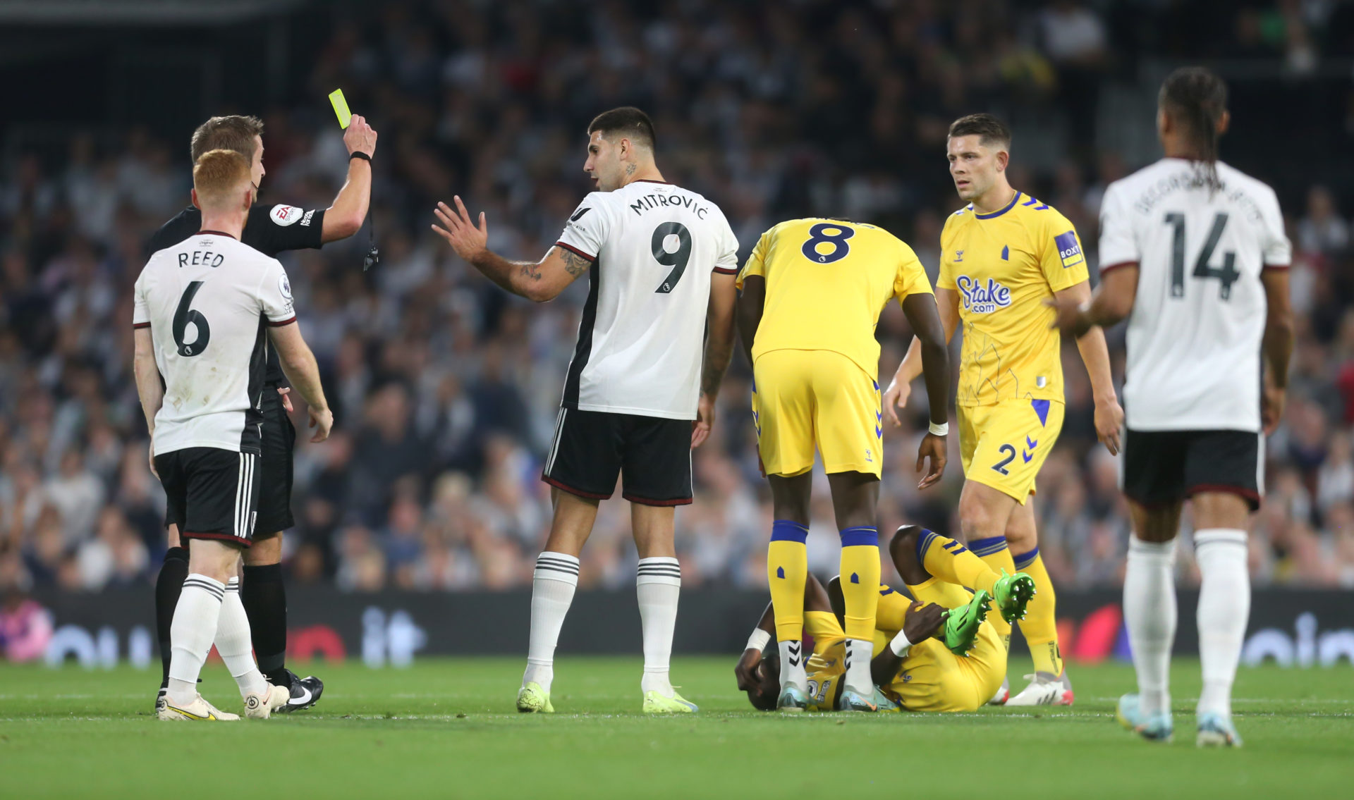 Fulham FC v Everton FC - Premier League