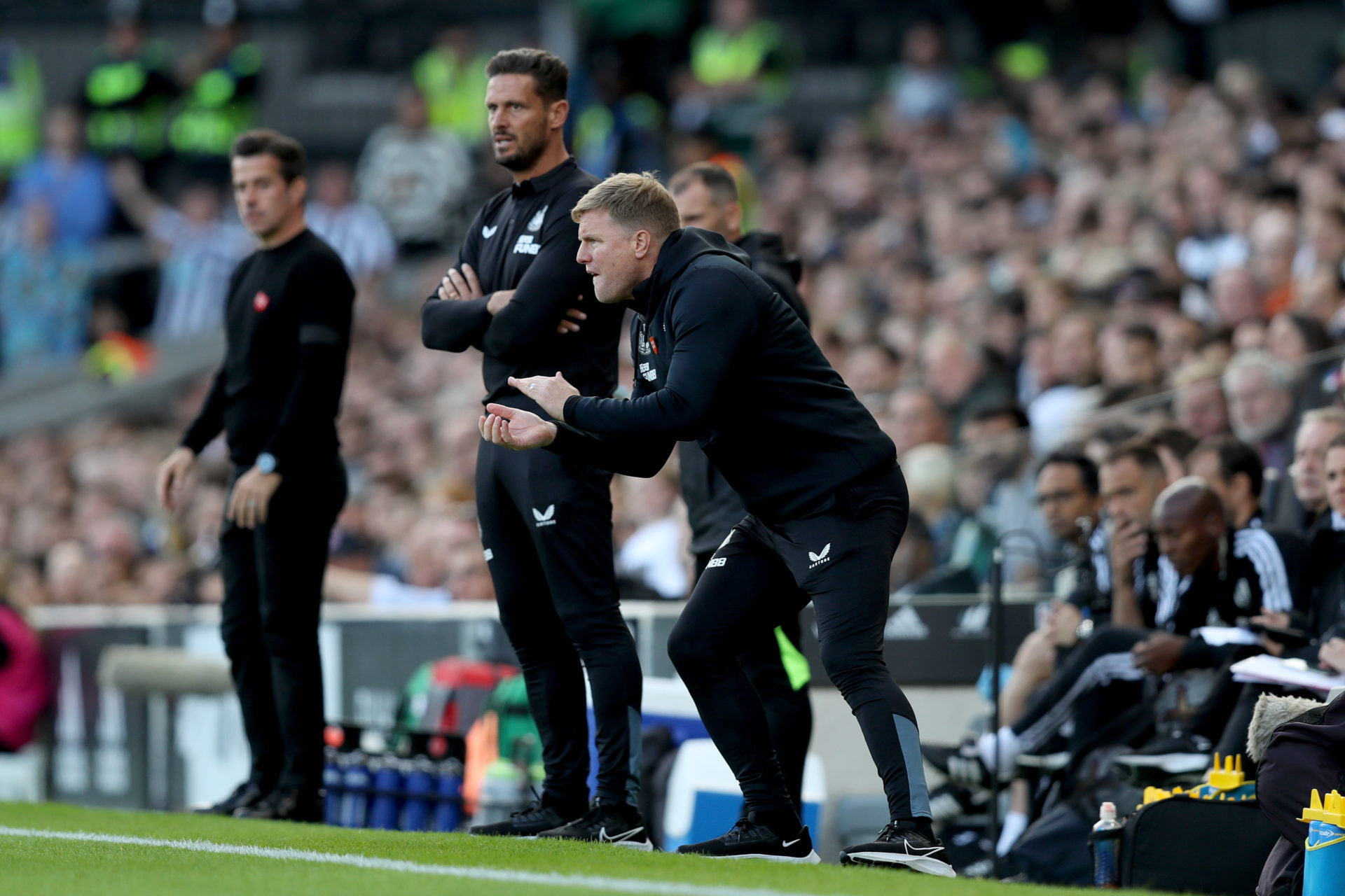Fulham FC v Newcastle United - Premier League