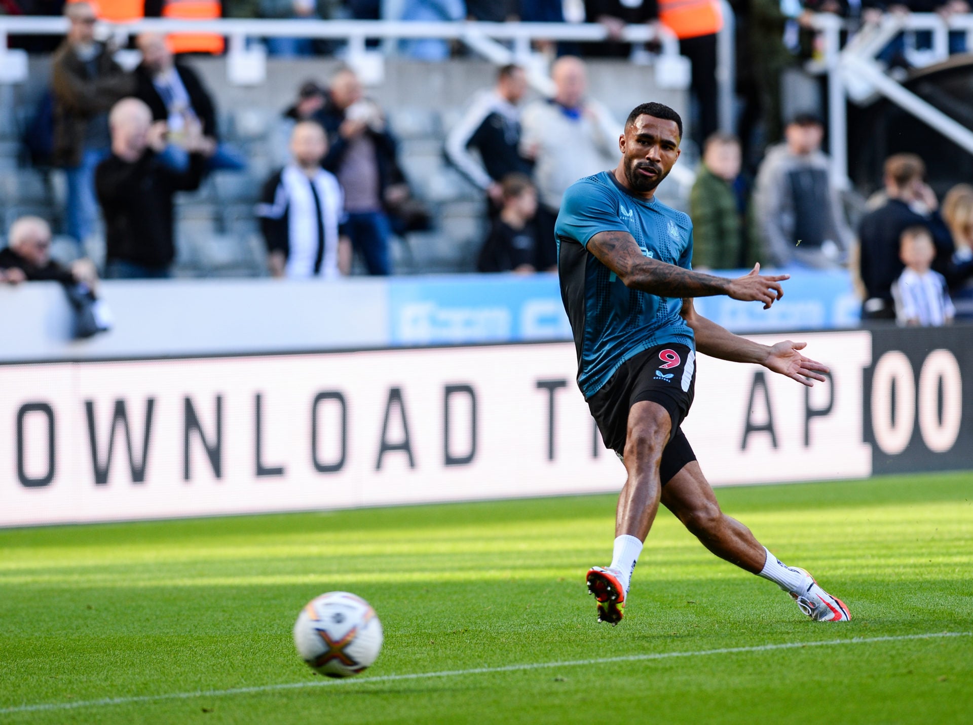 Newcastle United v Brentford FC - Premier League