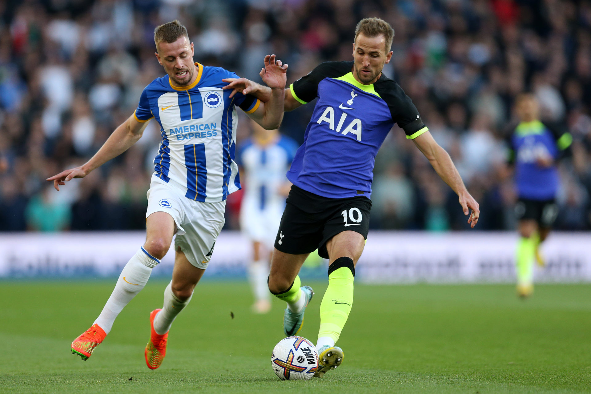 Brighton & Hove Albion v Tottenham Hotspur - Premier League