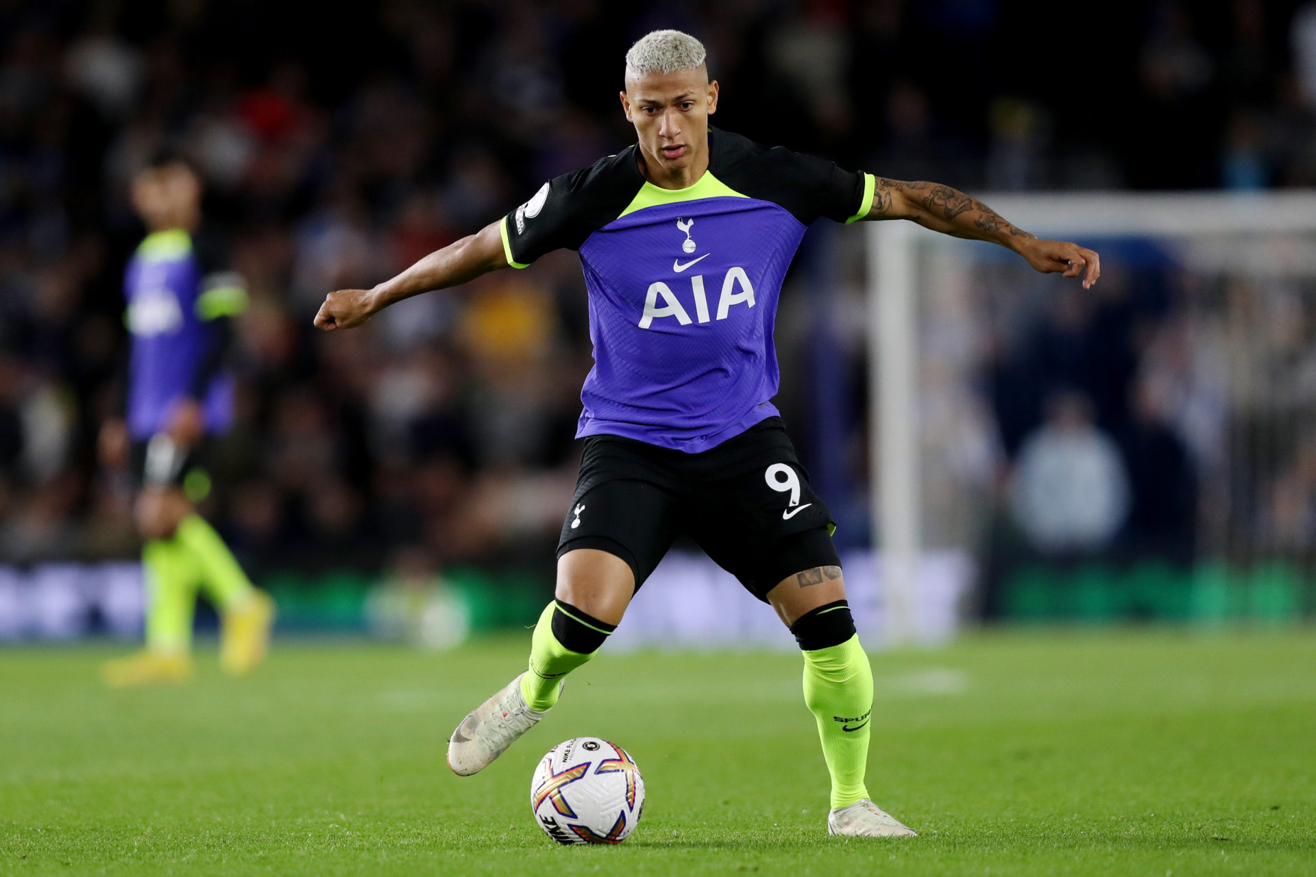 Brighton & Hove Albion v Tottenham Hotspur - Premier League