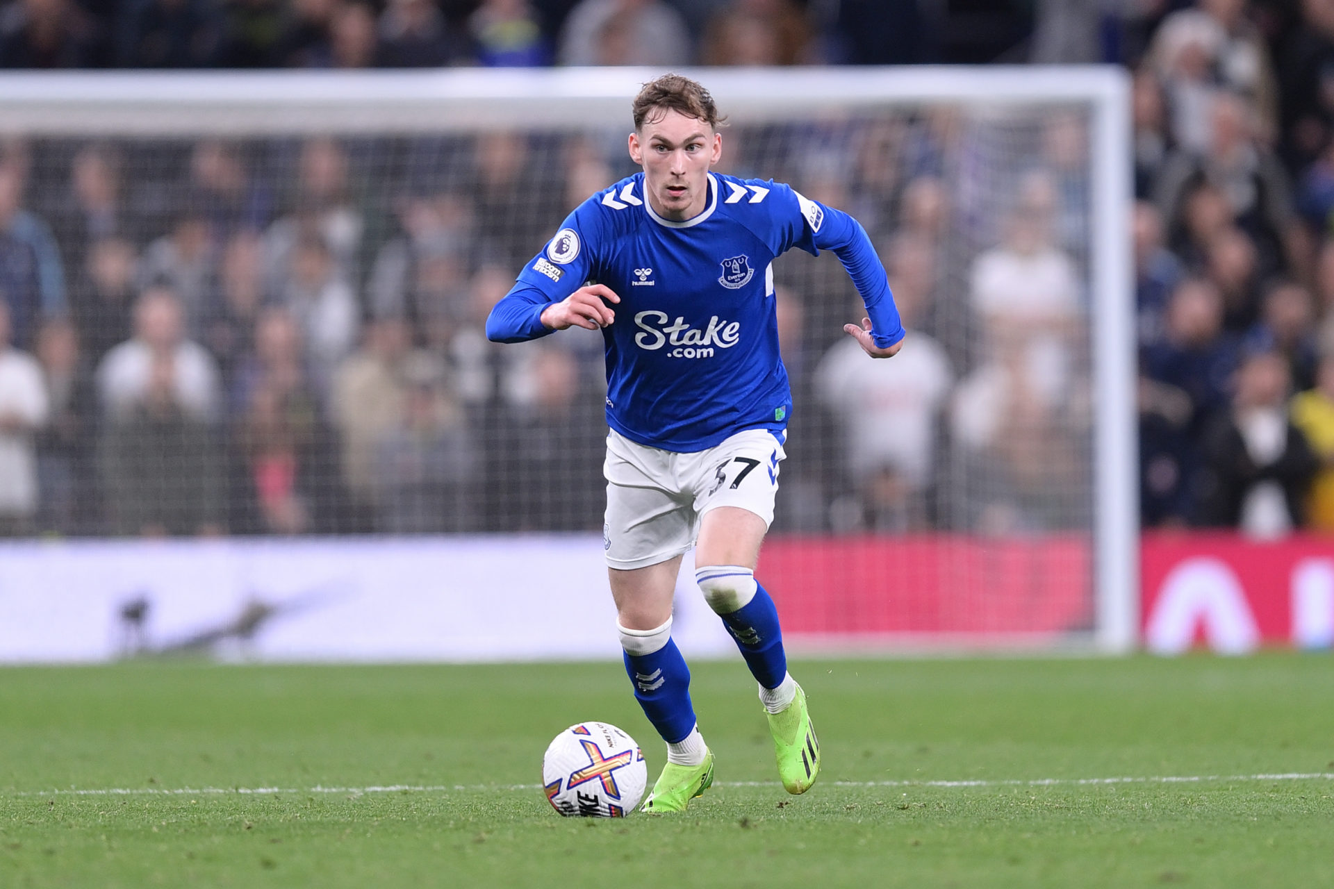 Tottenham Hotspur v Everton FC - Premier League