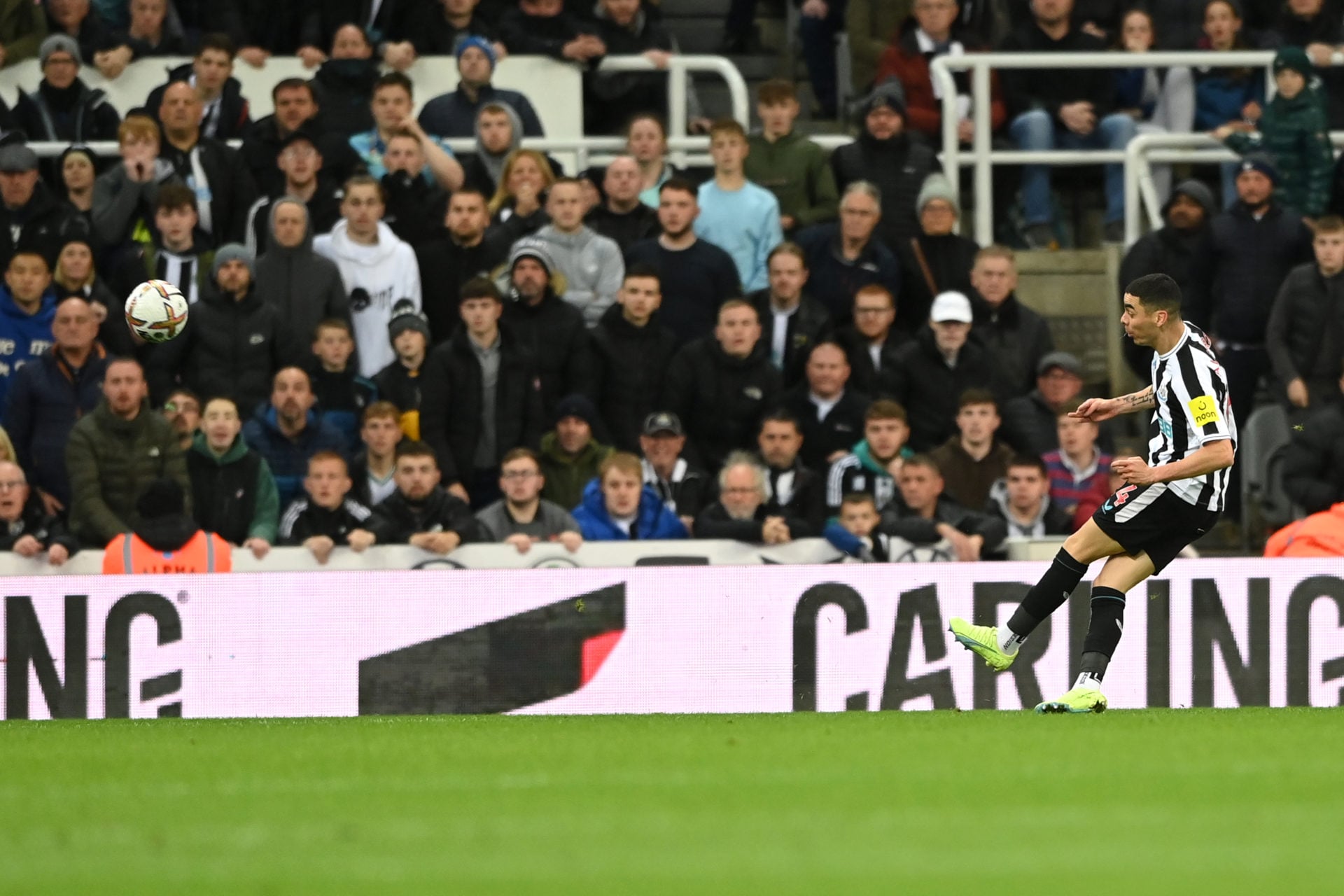 Newcastle United v Everton FC - Premier League