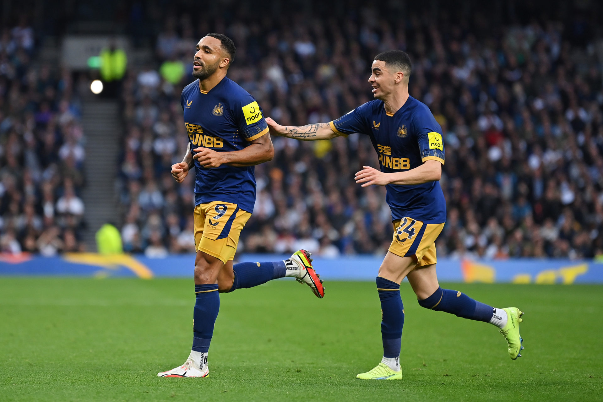 Tottenham Hotspur v Newcastle United - Premier League