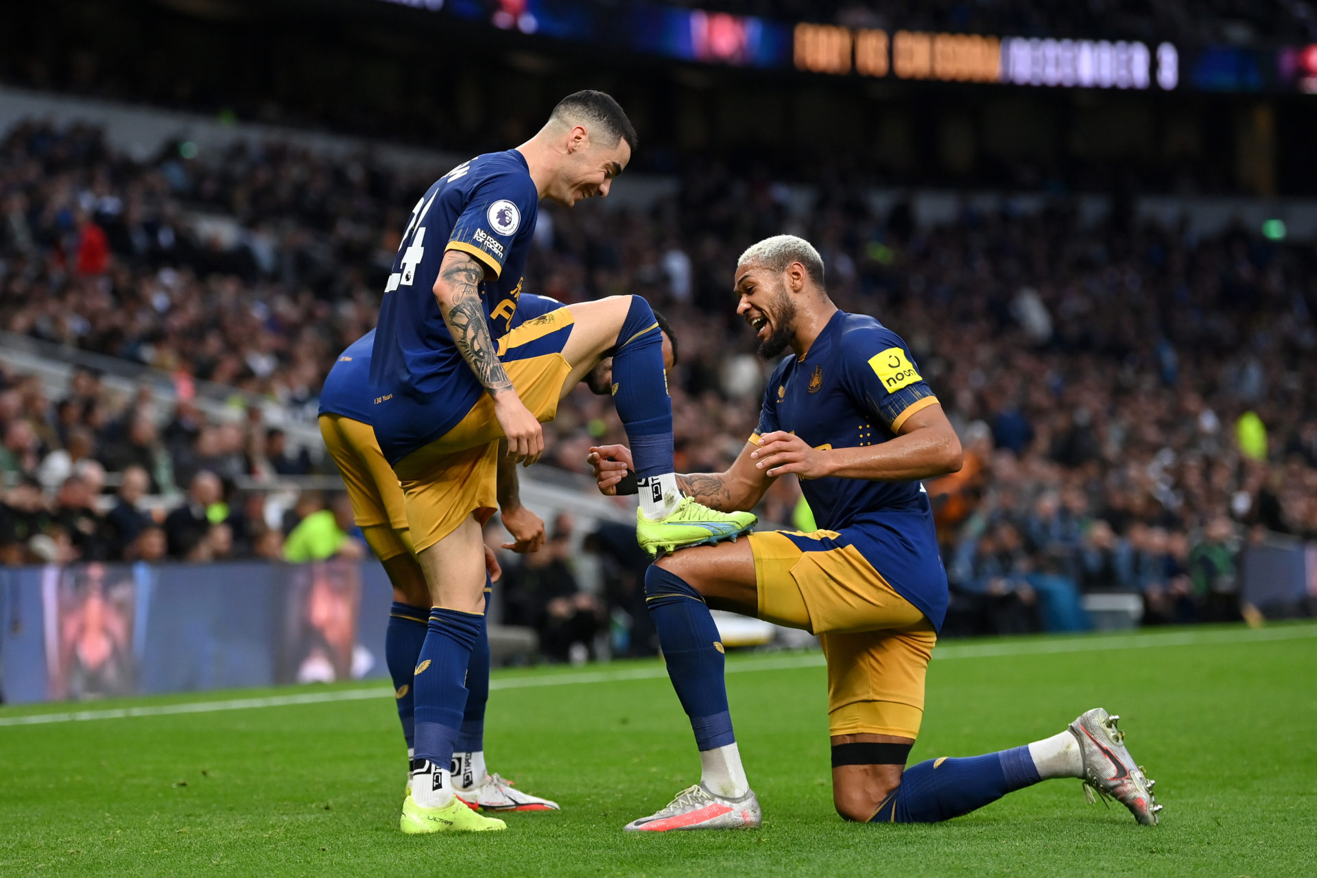 Tottenham Hotspur v Newcastle United - Premier League