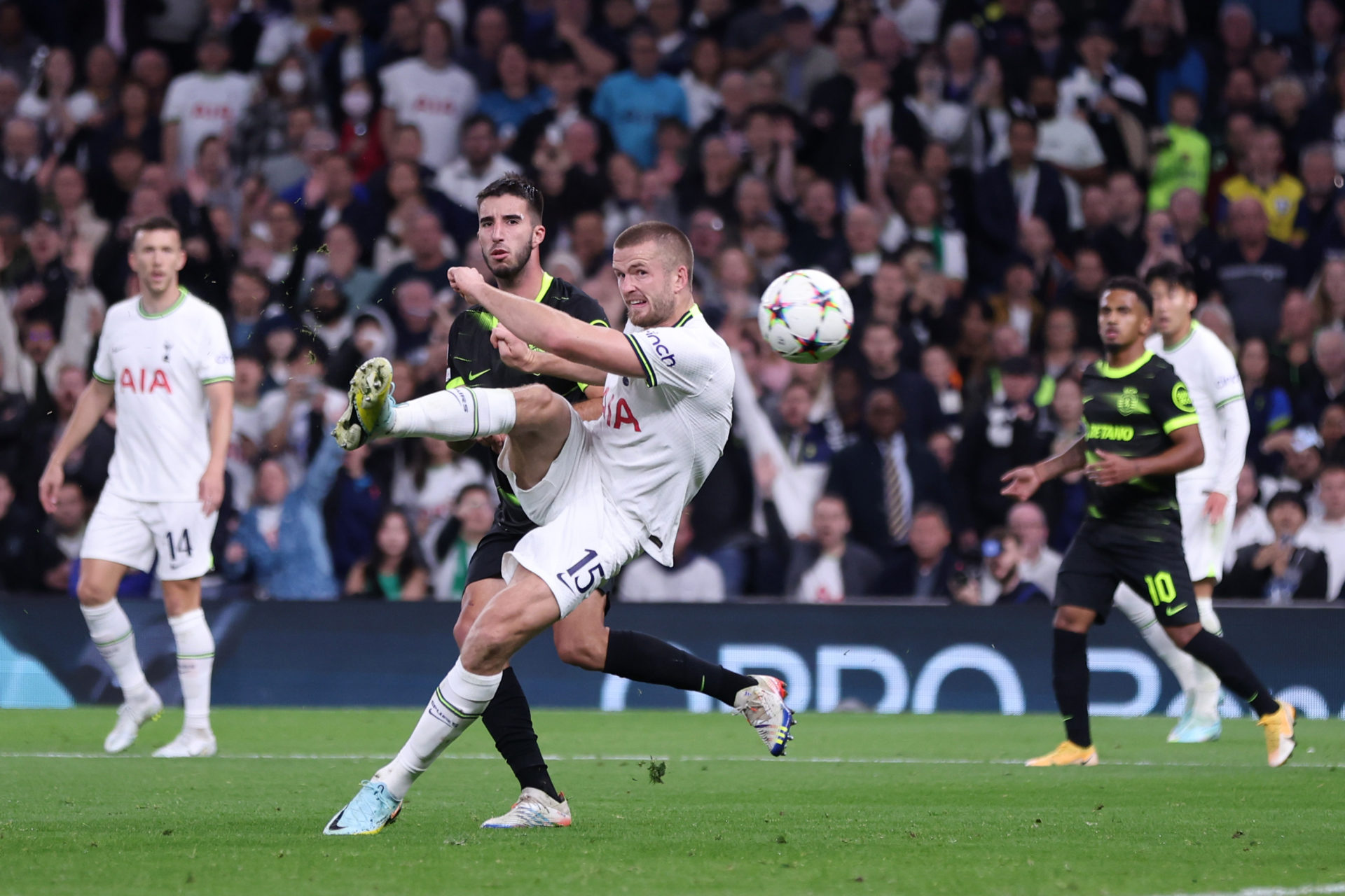 Tottenham Hotspur v Sporting CP: Group D - UEFA Champions League