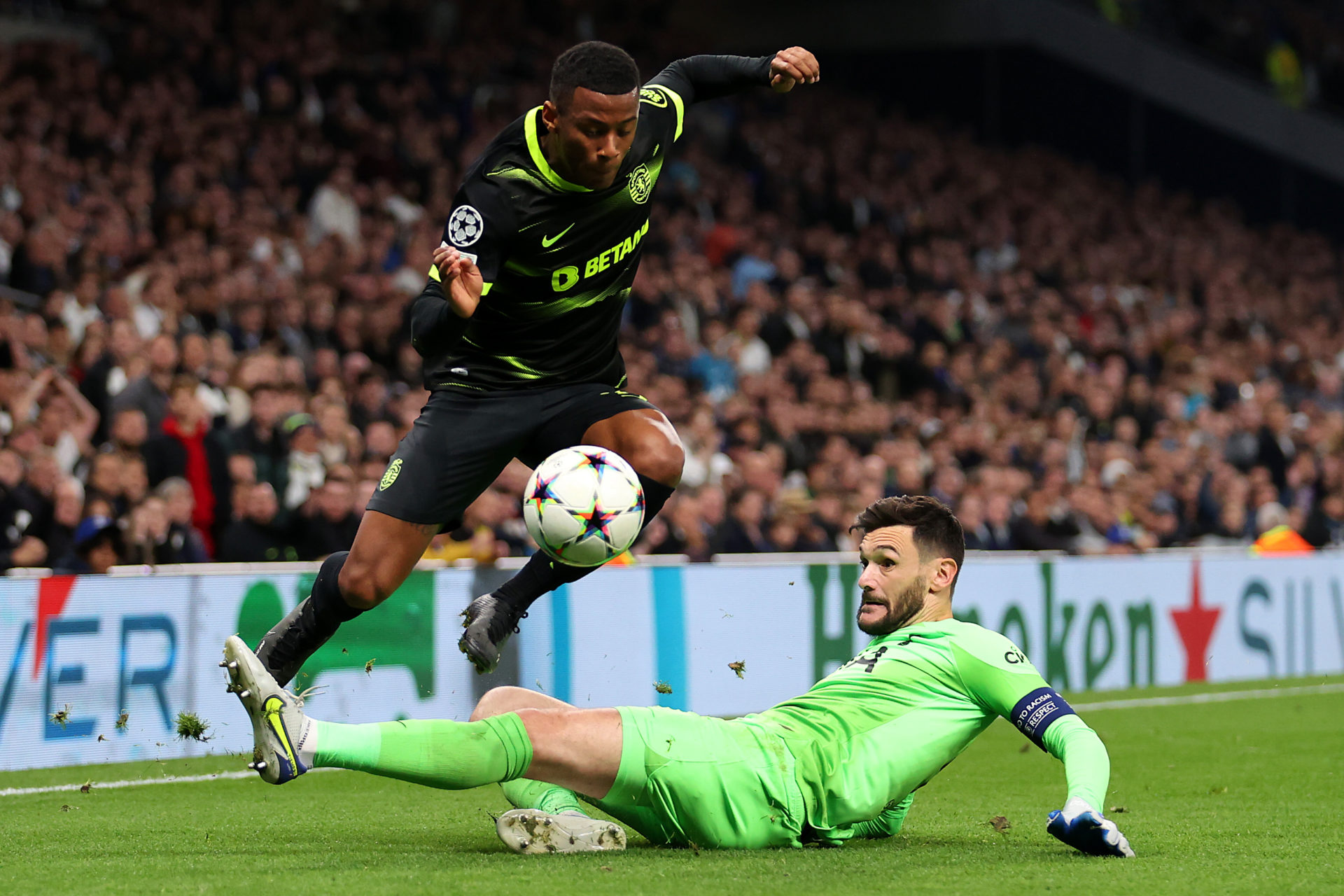 Tottenham Hotspur v Sporting CP: Group D - UEFA Champions League