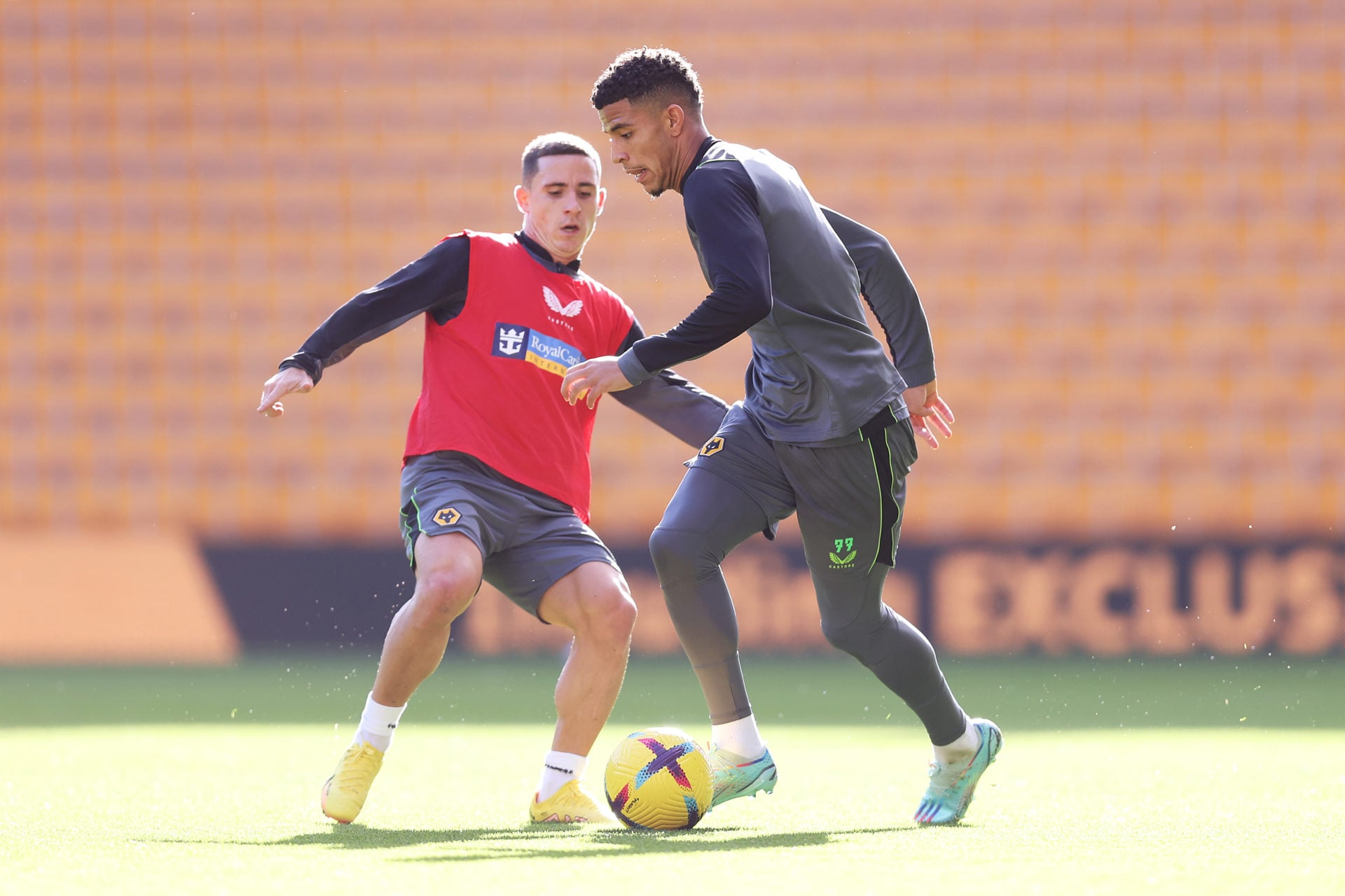 Wolverhampton Wanderers Open Training Session