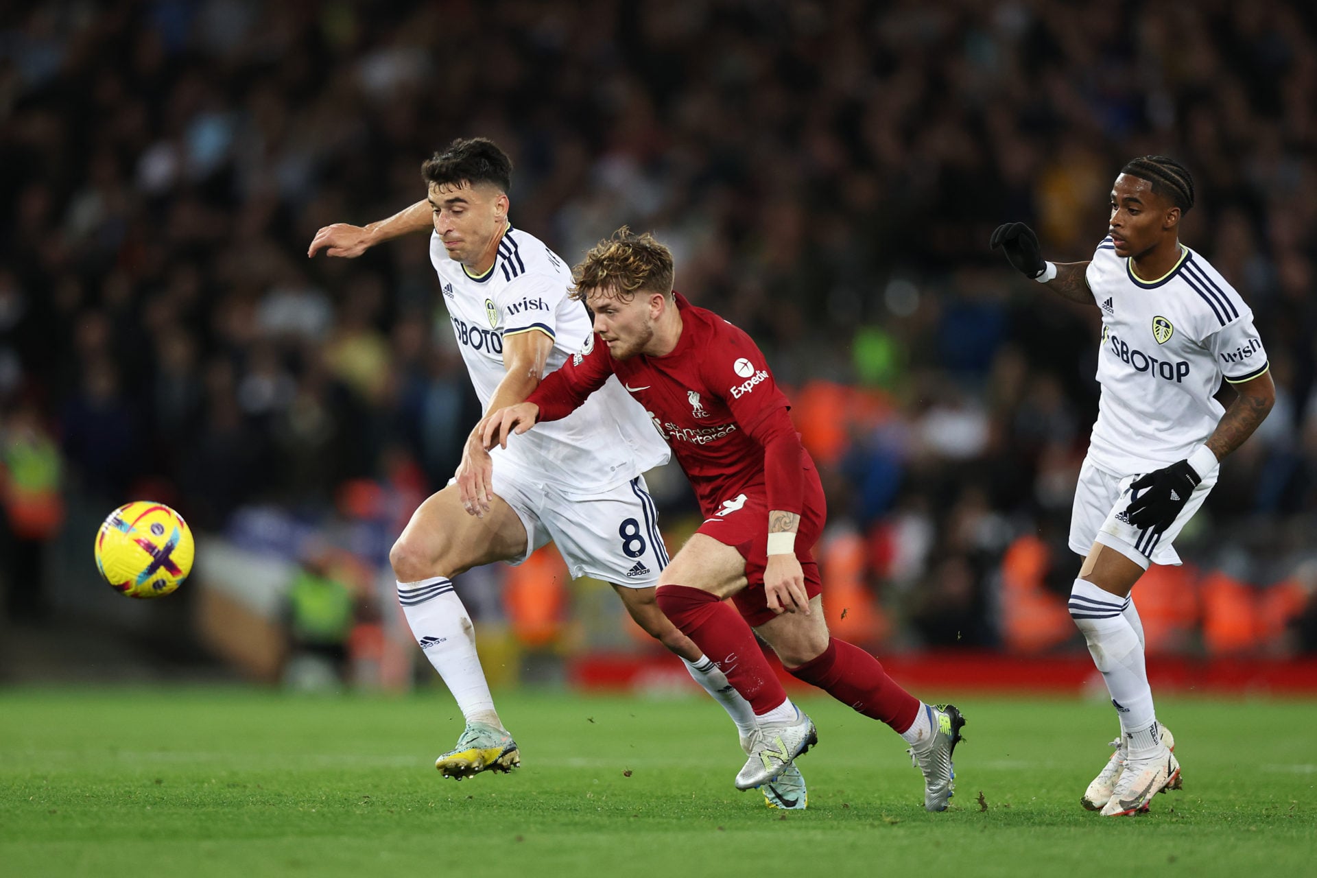 Liverpool FC v Leeds United - Premier League
