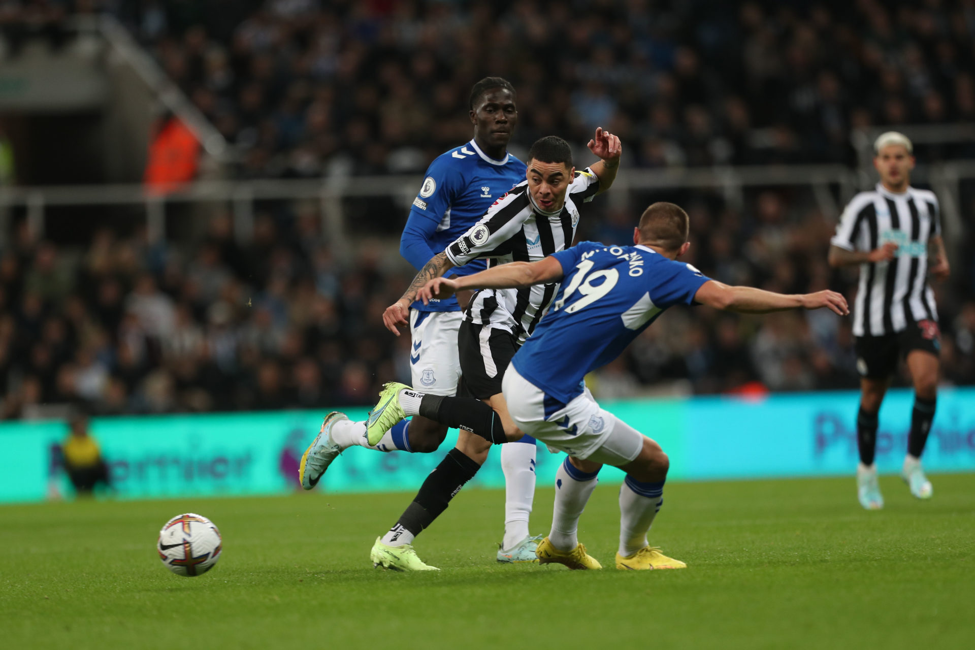 Newcastle United v Everton FC - Premier League