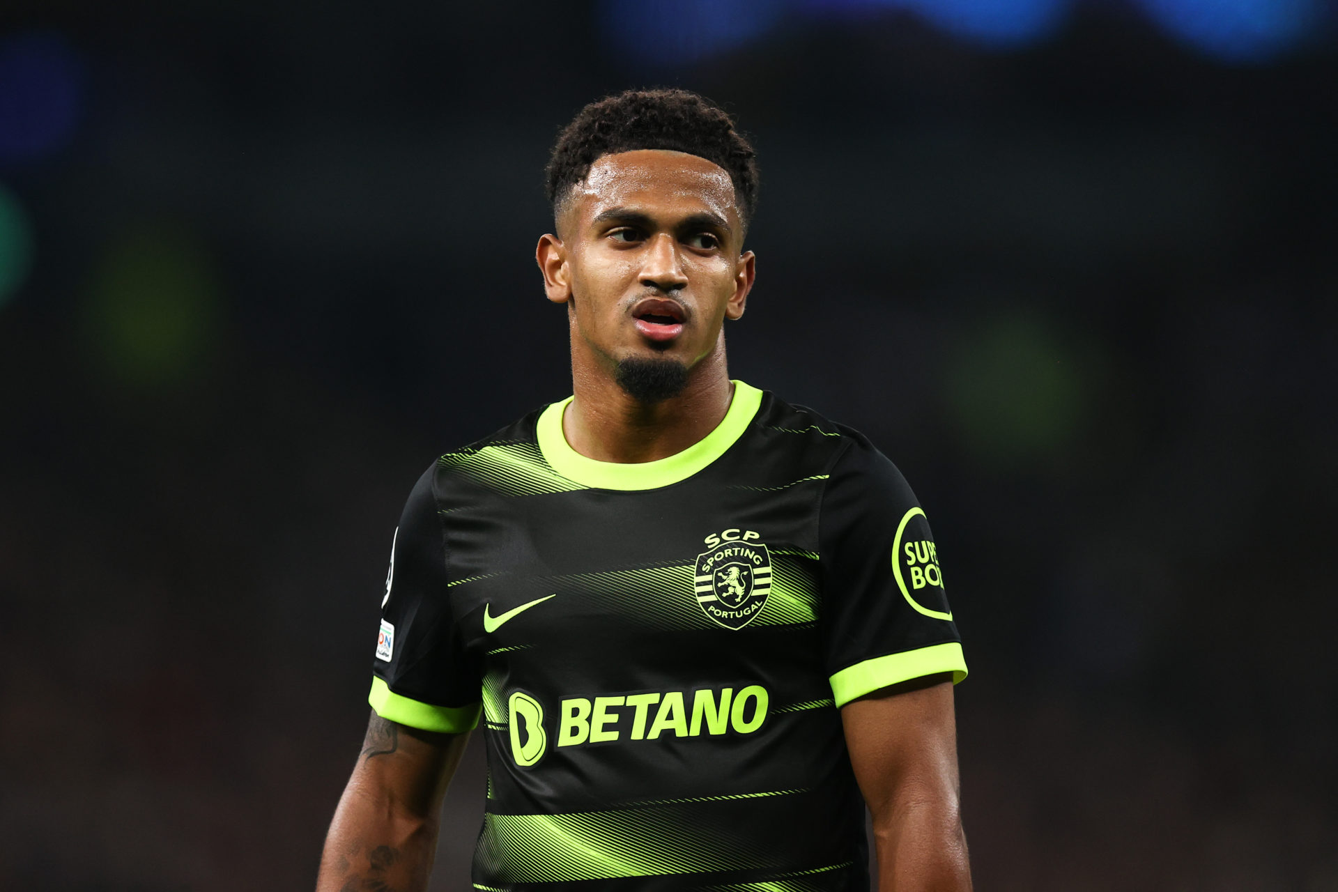 Tottenham Hotspur v Sporting CP: Group D - UEFA Champions League