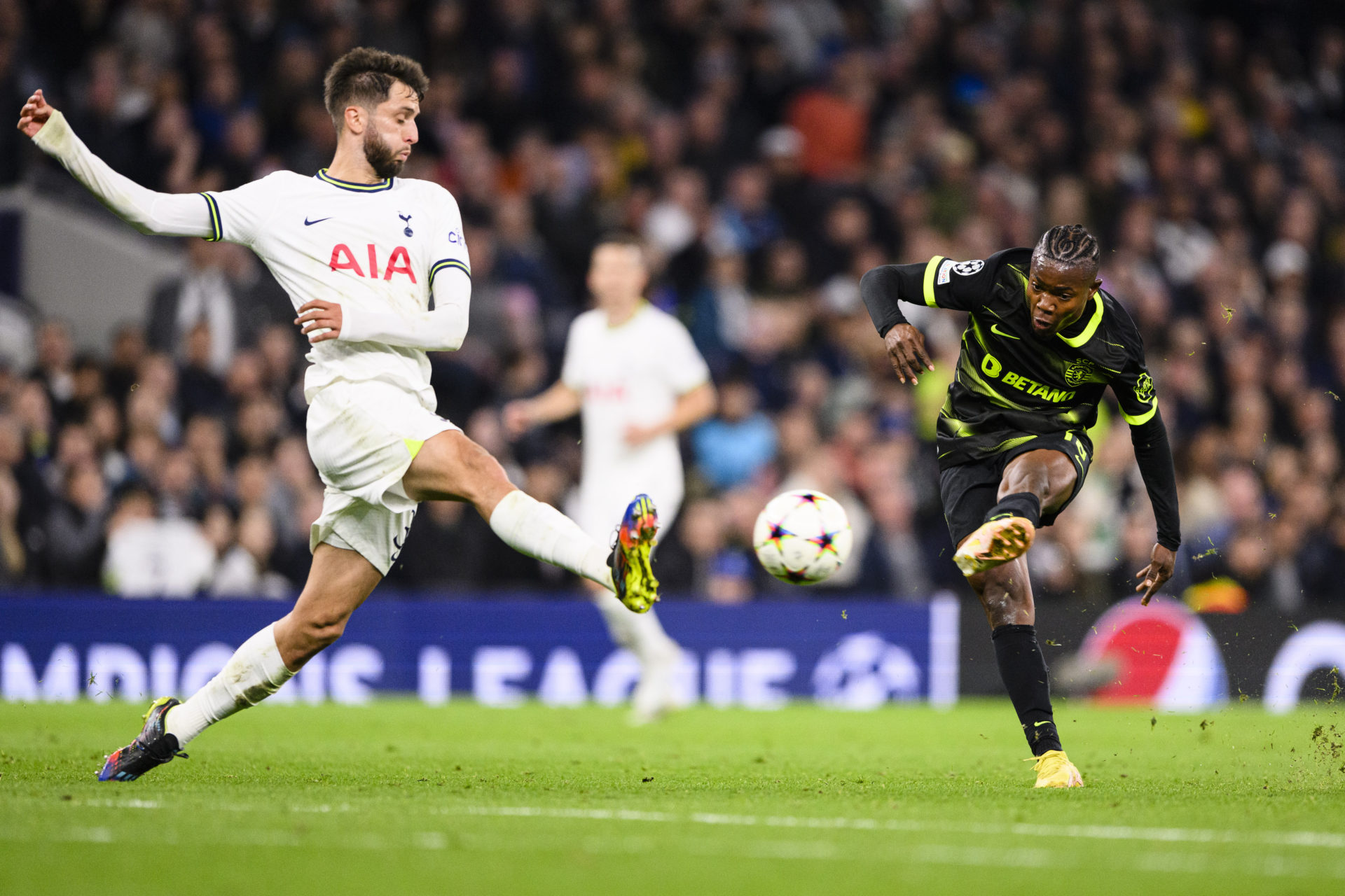 Tottenham Hotspur v Sporting CP: Group D - UEFA Champions League