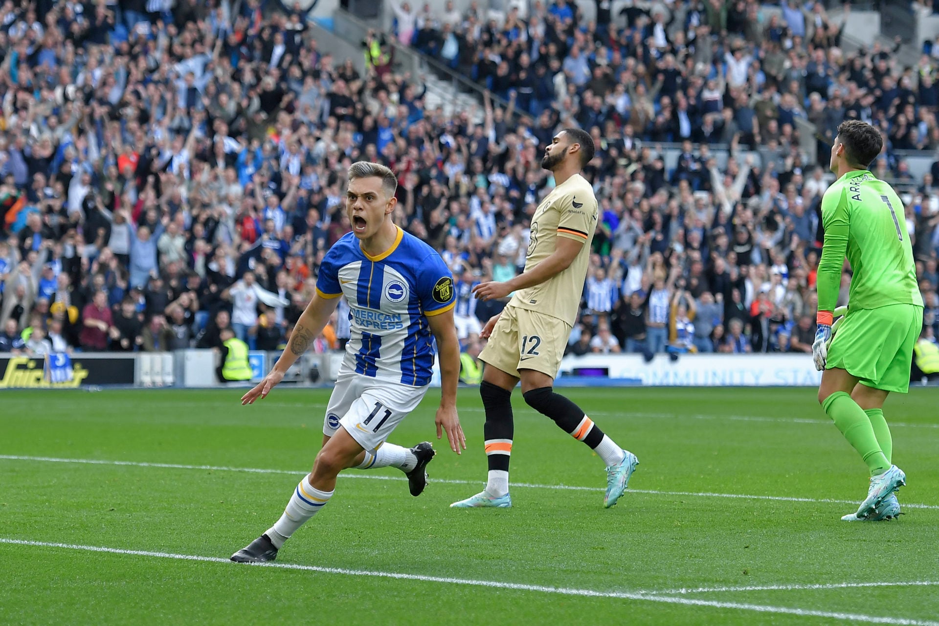 Brighton & Hove Albion v Chelsea FC - Premier League