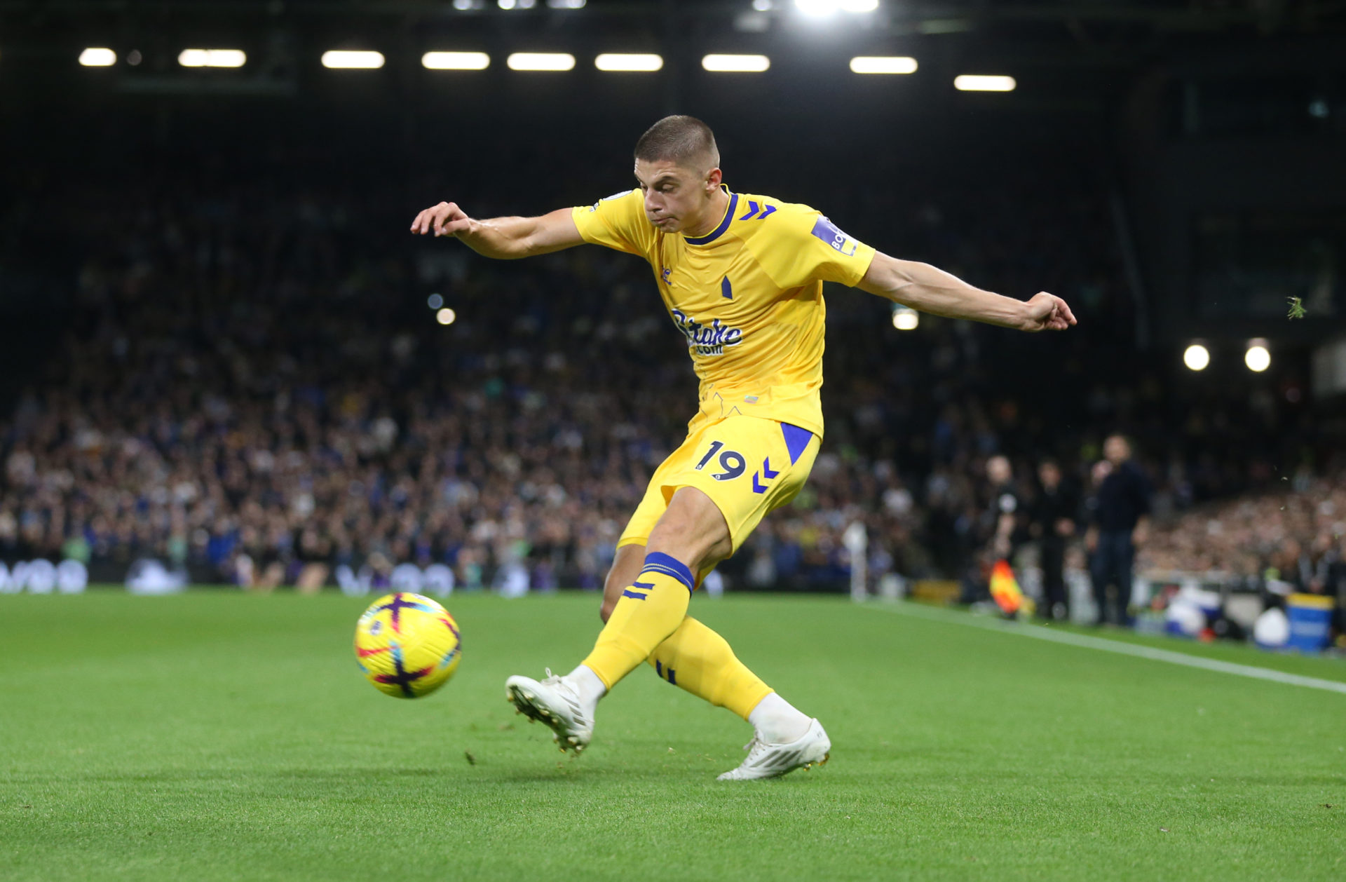 Fulham FC v Everton FC - Premier League