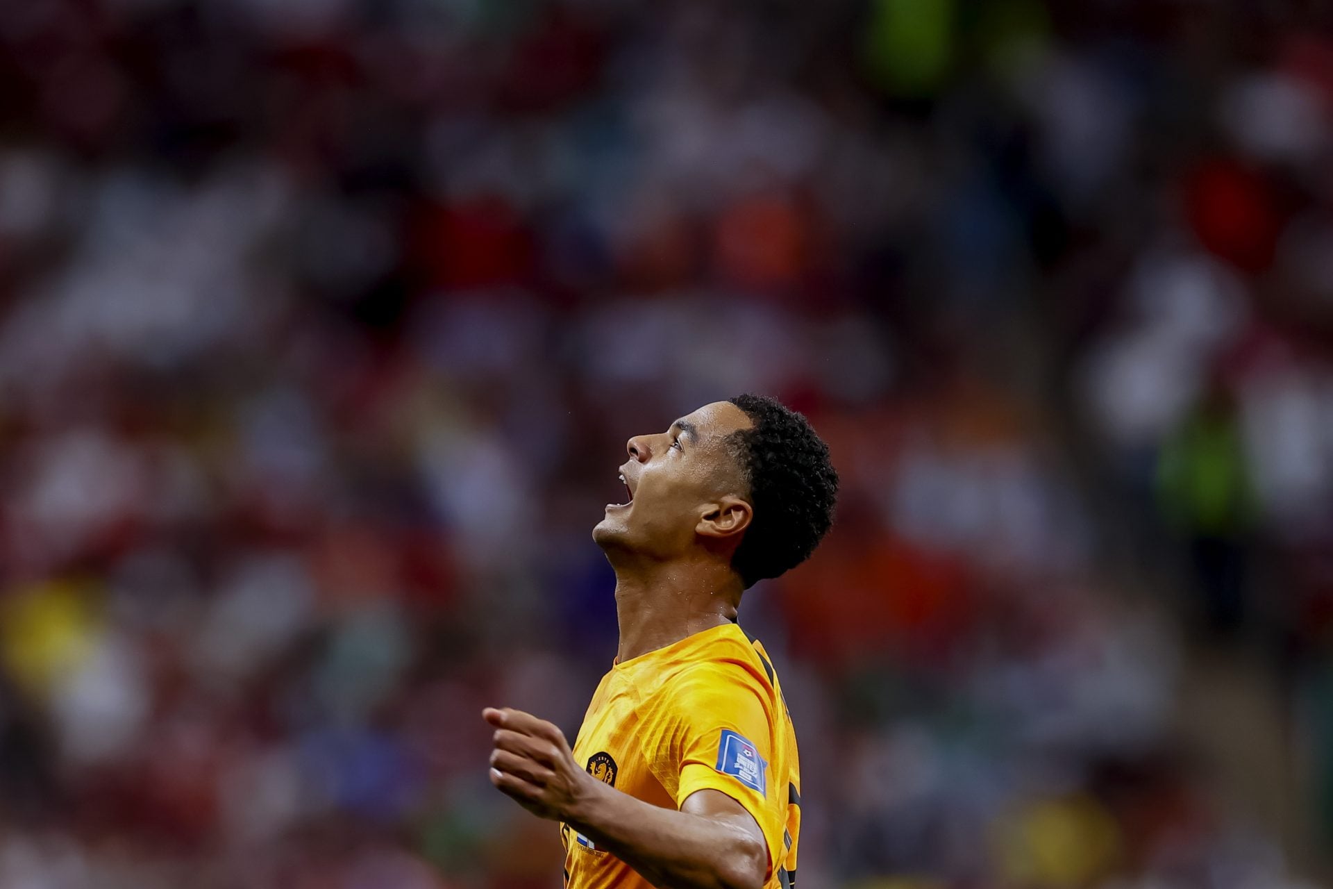 FIFA World Cup Qatar 2022"The Netherlands v Qatar"
