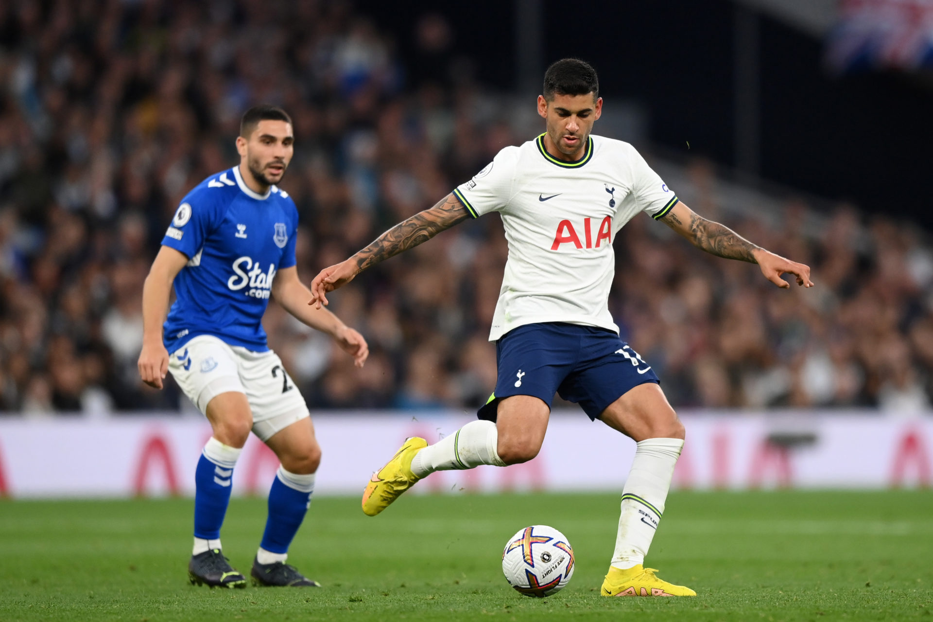 Tottenham Hotspur v Everton FC - Premier League