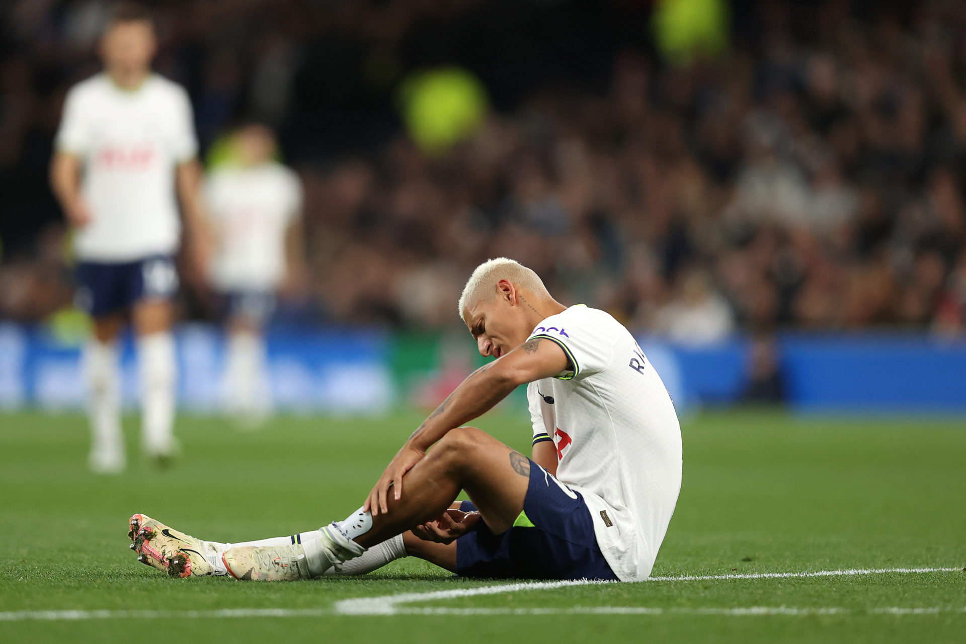 Tottenham Hotspur v Everton FC - Premier League