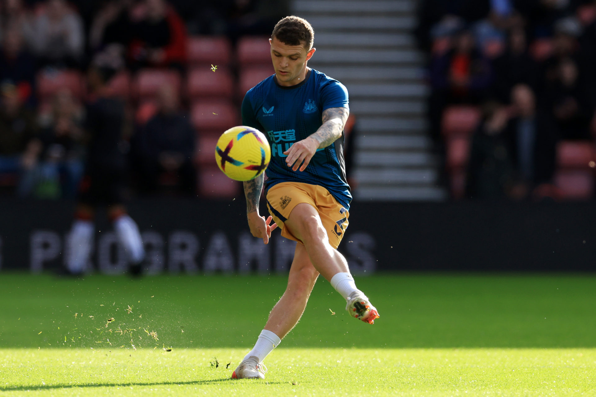 Southampton FC v Newcastle United - Premier League