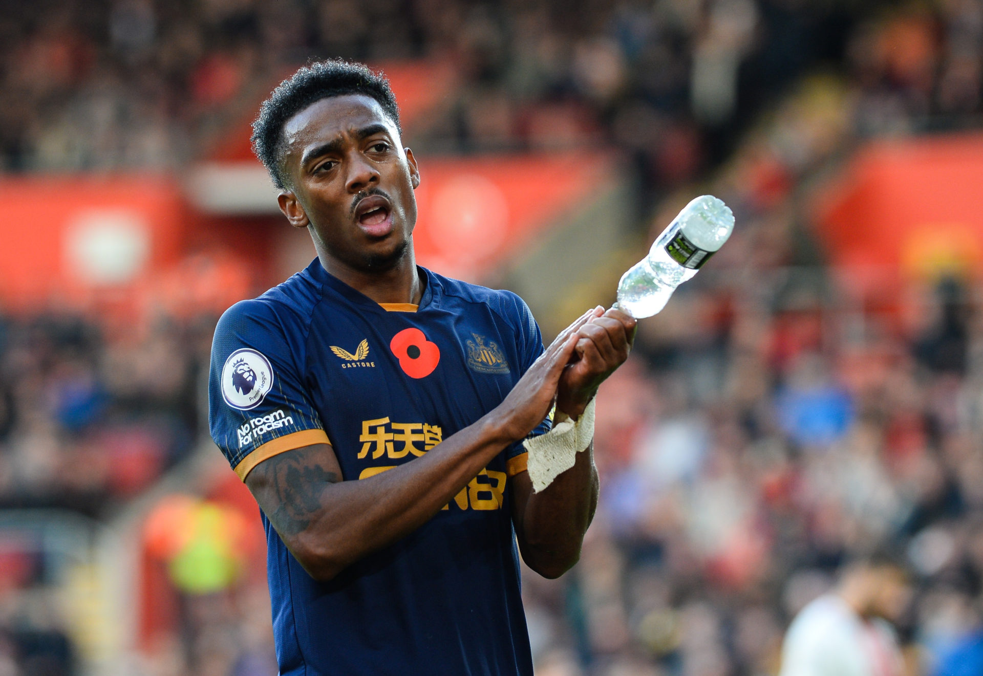 Southampton FC v Newcastle United - Premier League