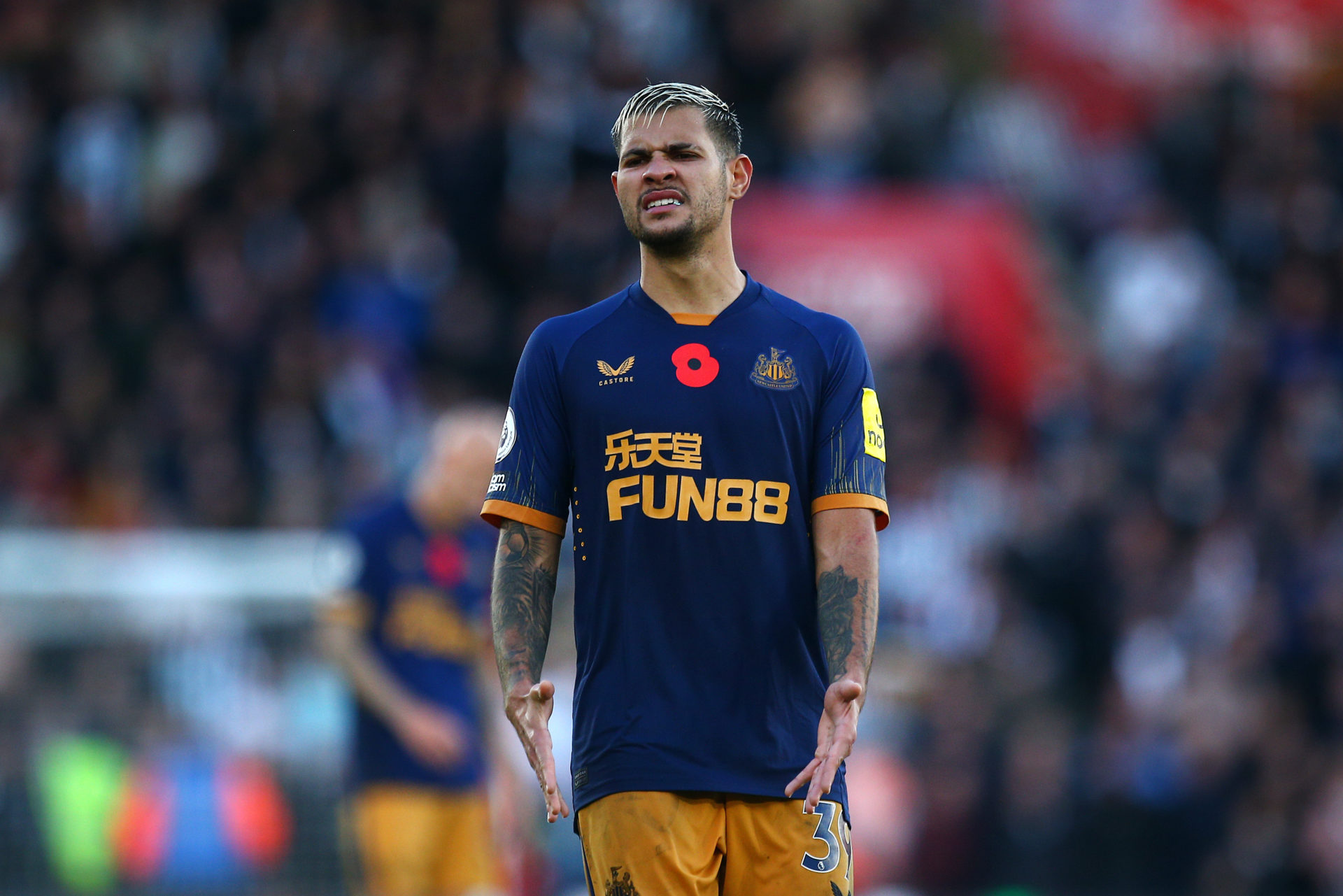 Southampton FC v Newcastle United - Premier League