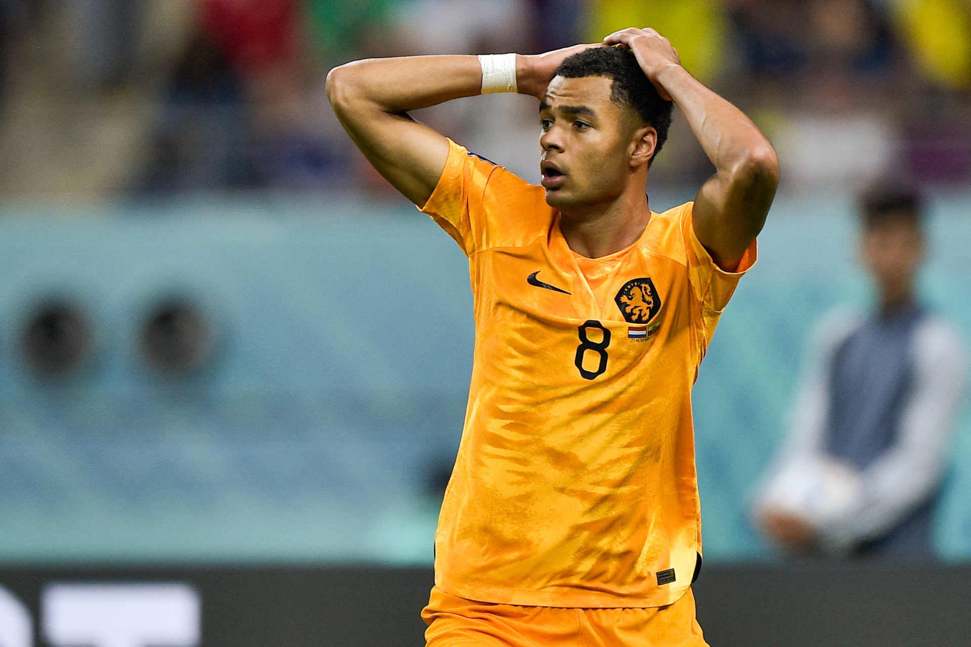 Netherlands v Ecuador: Group A - FIFA World Cup Qatar 2022