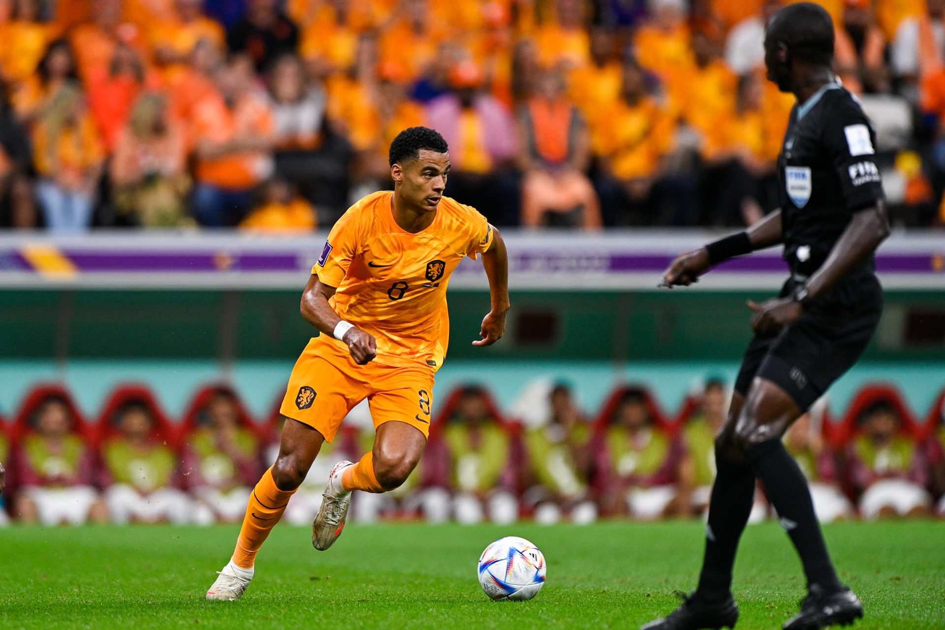 Netherlands v Qatar: Group A - FIFA World Cup Qatar 2022