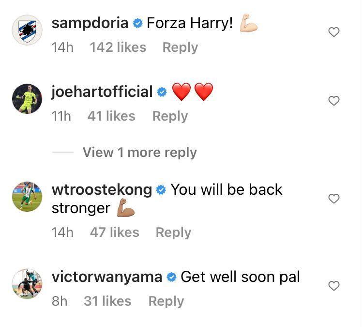 Joe Hart and Victor Wanyama reply to Harry Winks on Instagram