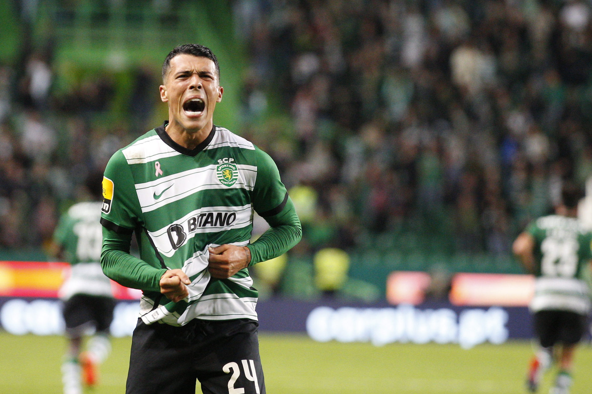 Sporting CP v Casa Pia AC - Liga Portugal Bwin