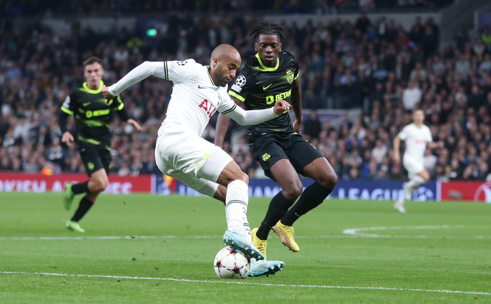 Tottenham Hotspur v Sporting CP: Group D - UEFA Champions League