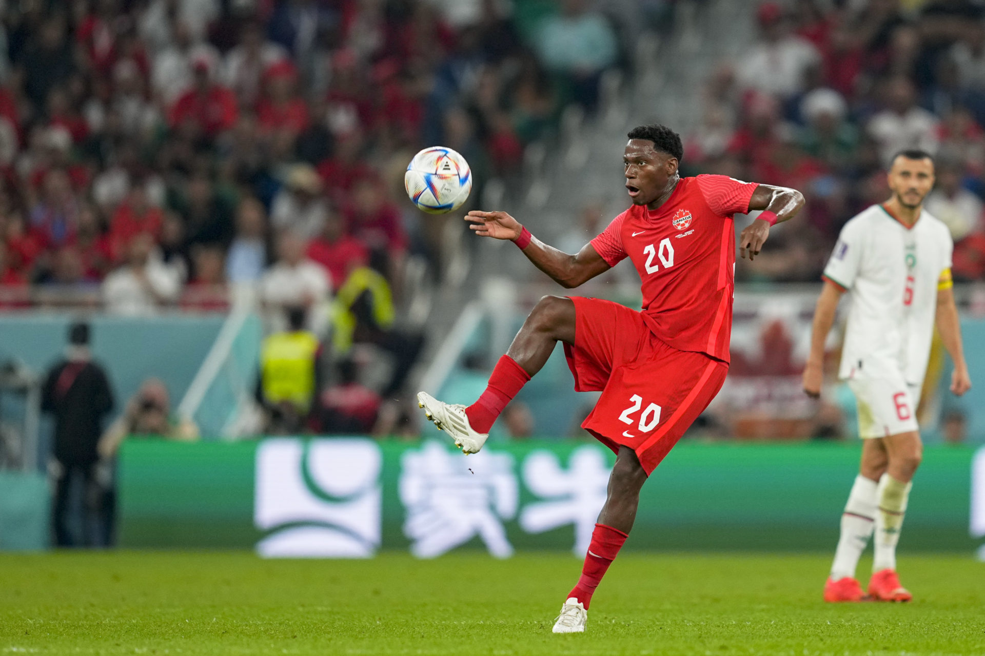 Canada v Morocco: Group F - FIFA World Cup Qatar 2022