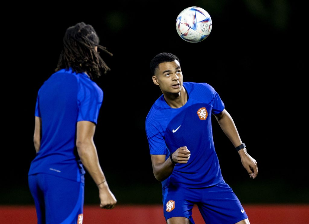 FIFA World Cup Qatar 2022"Training session The Netherlands"