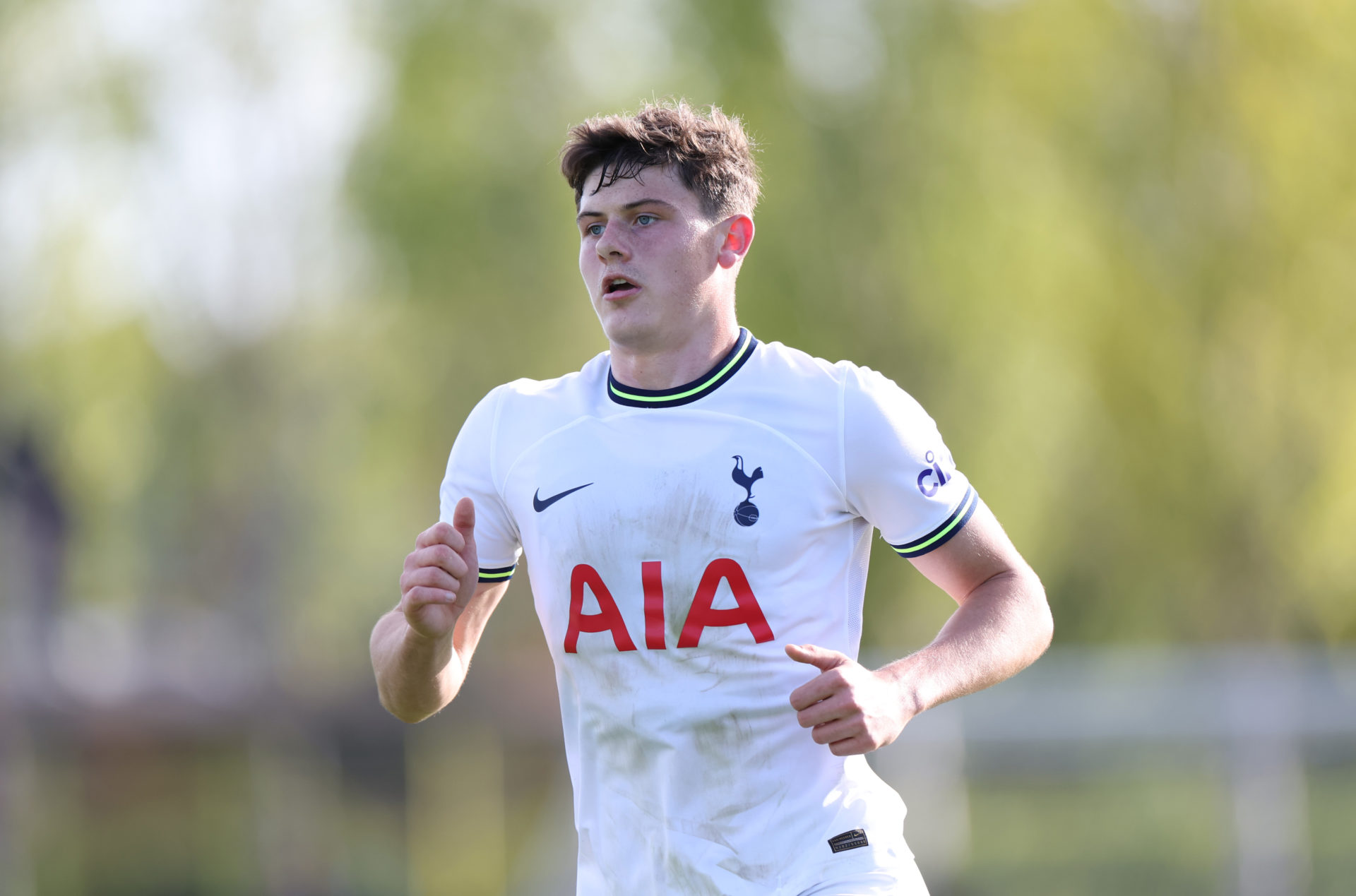 Tottenham Hotspur v Sporting CP: UEFA Youth League