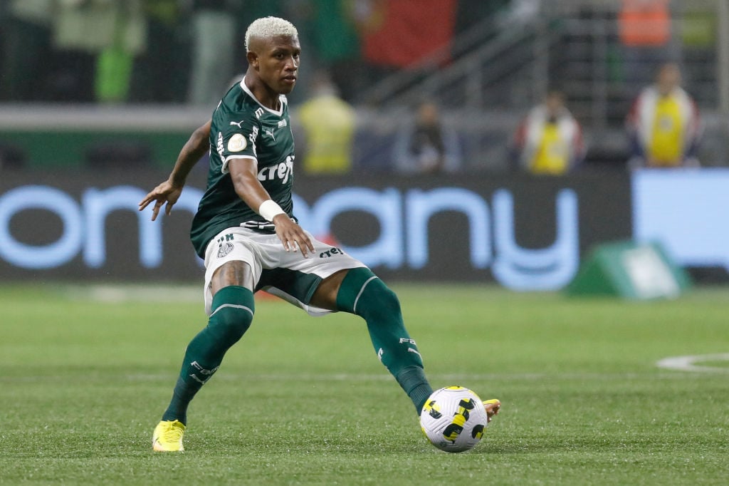 Palmeiras v Fortaleza - Brasileirao 2022