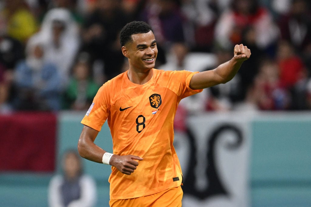 Netherlands v Qatar: Group A - FIFA World Cup Qatar 2022