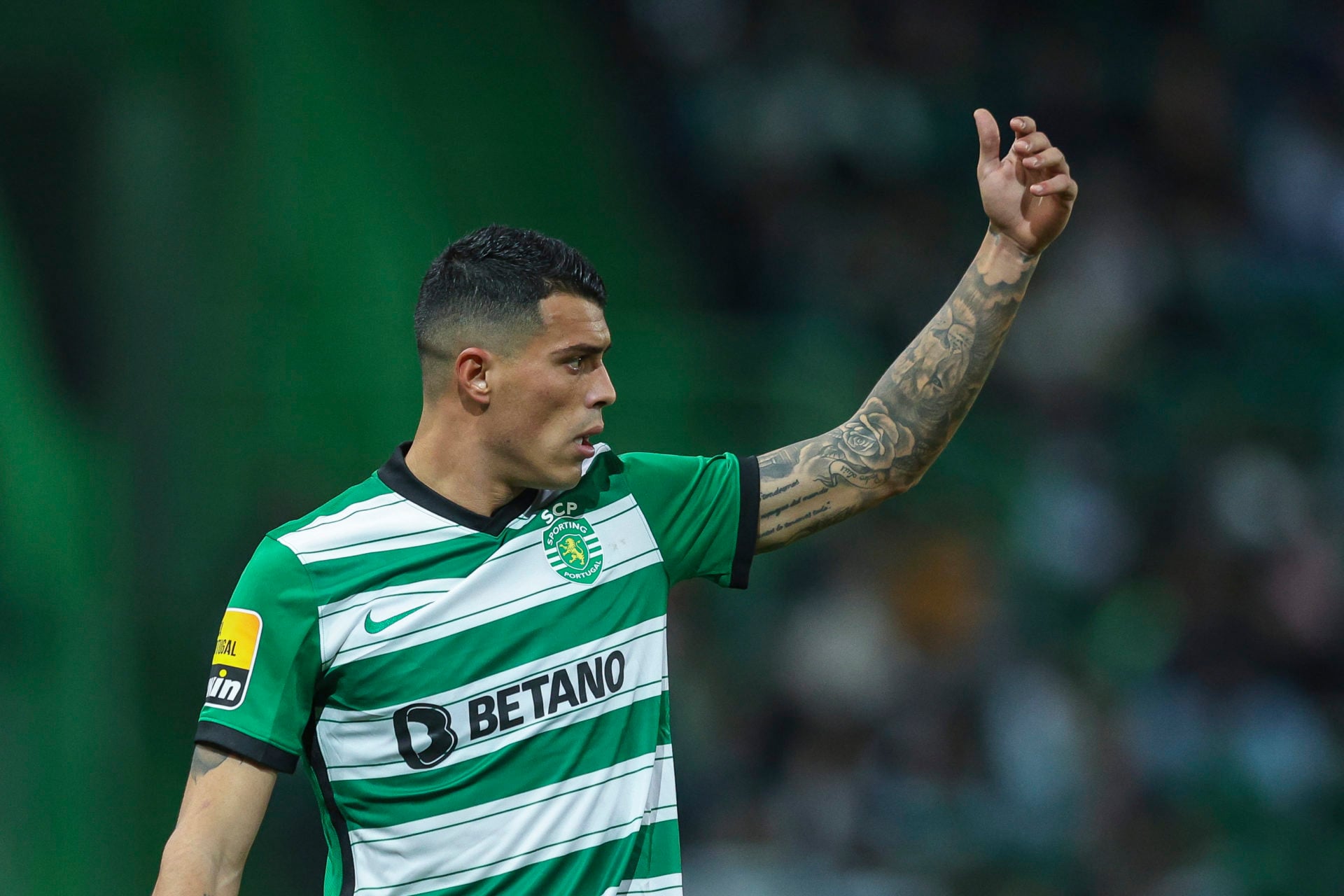 Sporting CP v Pacos de Ferreira - Liga Portugal Bwin
