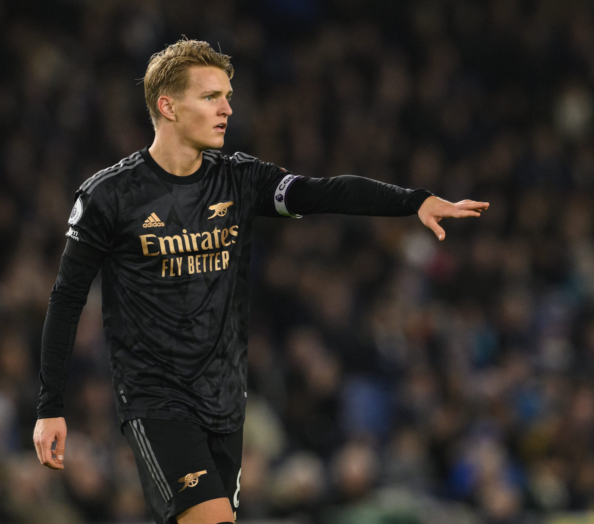 Brighton & Hove Albion v Arsenal FC - Premier League