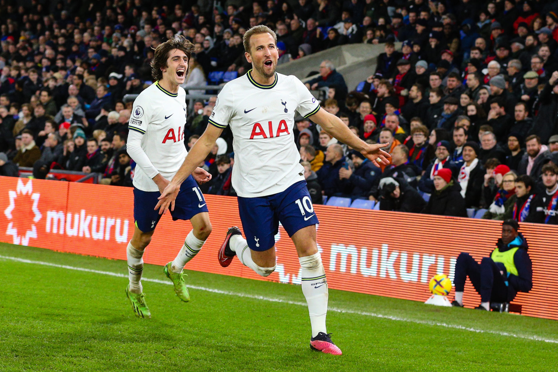 Crystal Palace v Tottenham Hotspur - Premier League