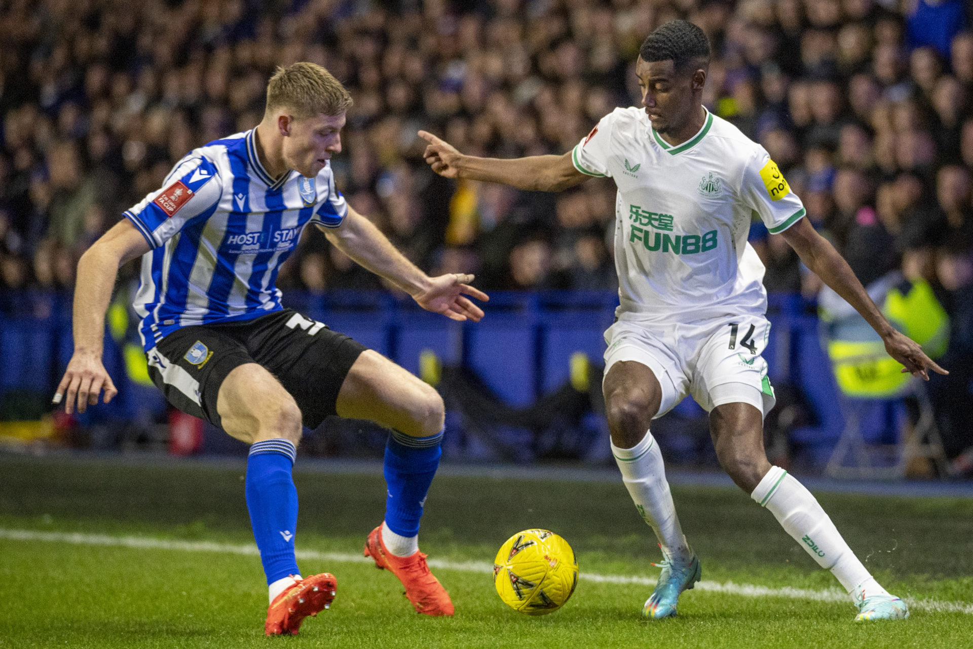 Sheffield Wednesday v Newcastle United: Emirates FA Cup Third Round