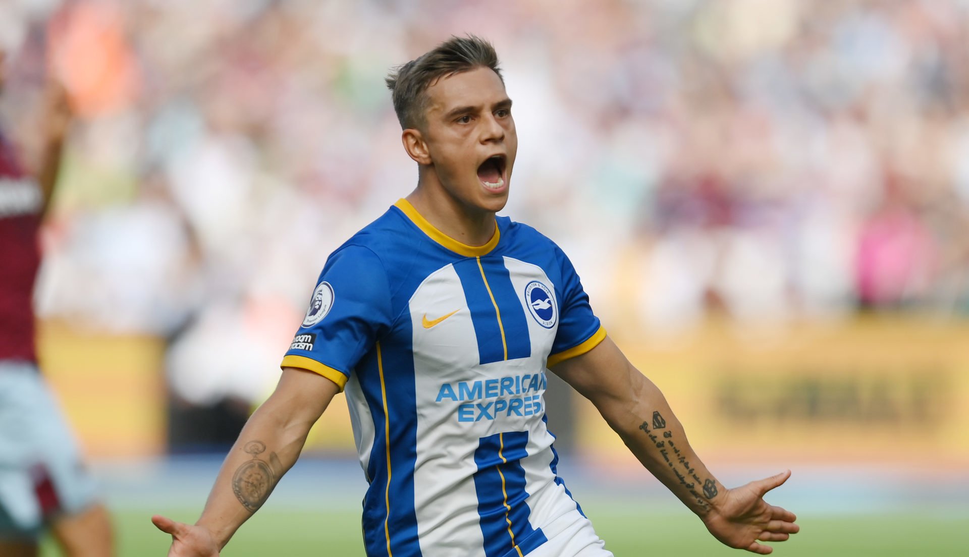 Leandro Trossard: Brighton's Belgian Winger Making Waves In The Premier ...