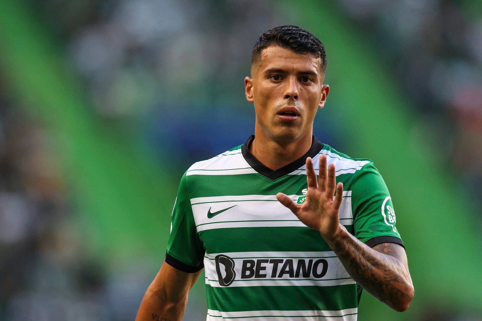 Tottenham Pedro Porro