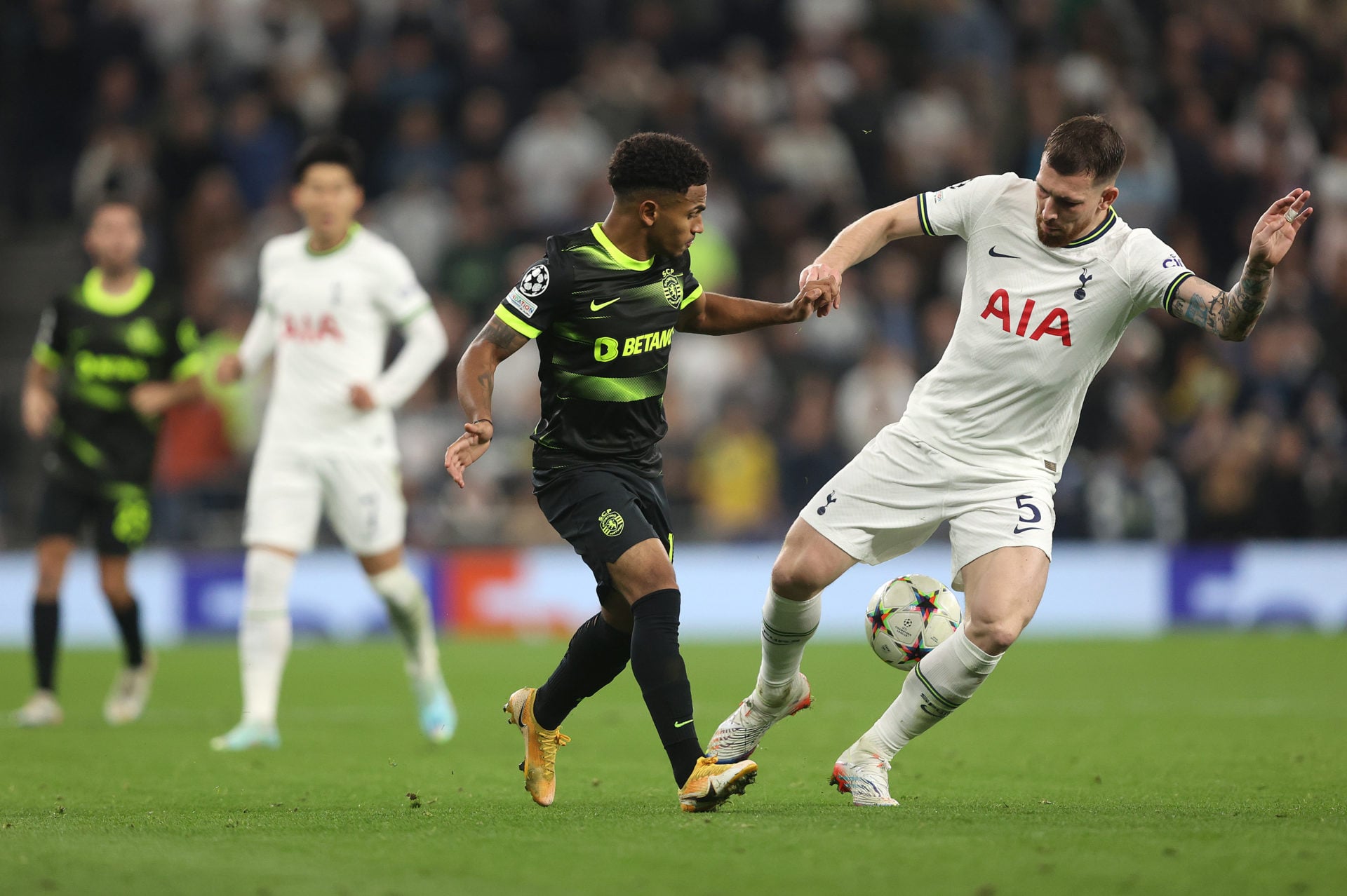 Tottenham Hotspur v Sporting CP: Group D - UEFA Champions League