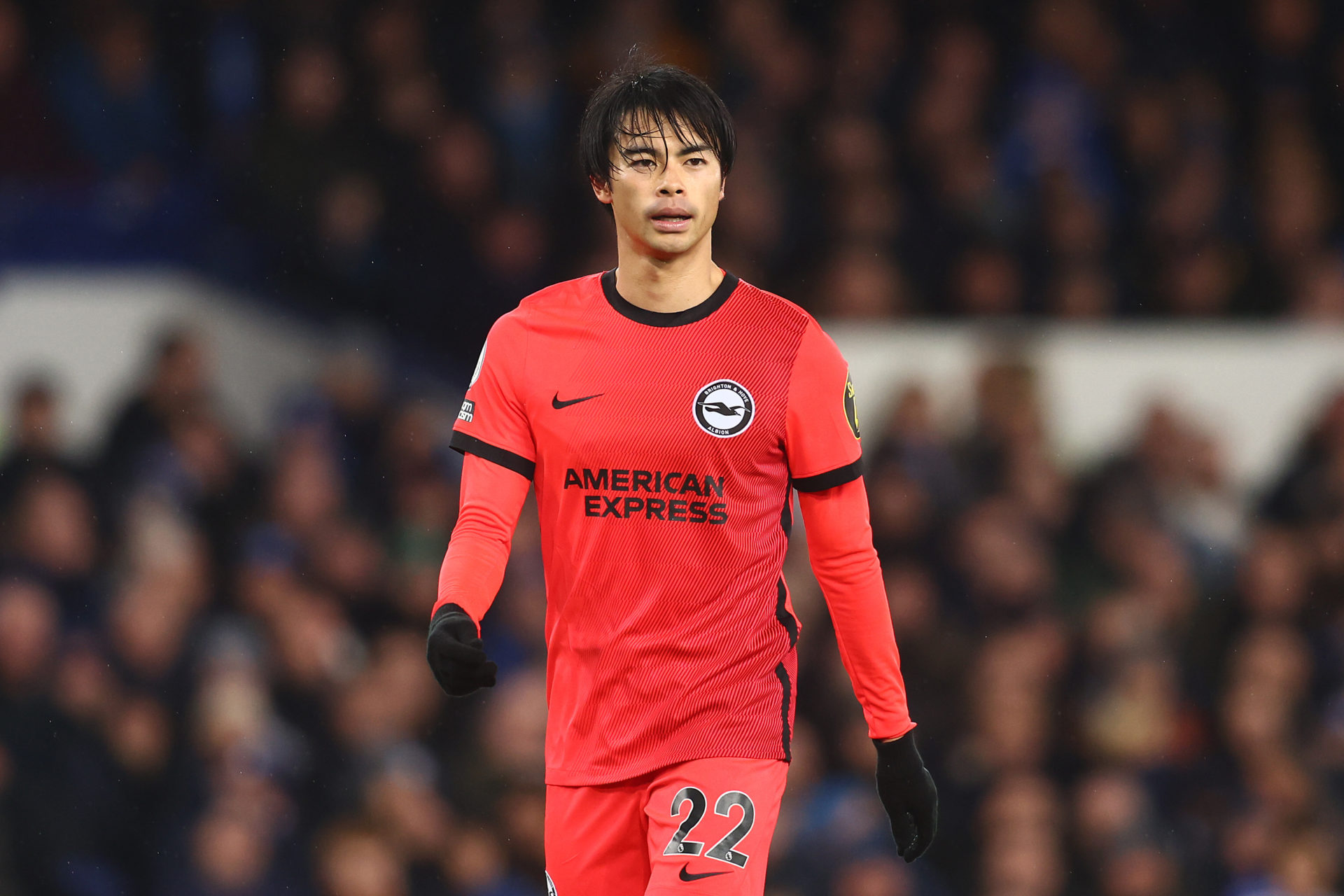 Everton FC v Brighton & Hove Albion - Premier League