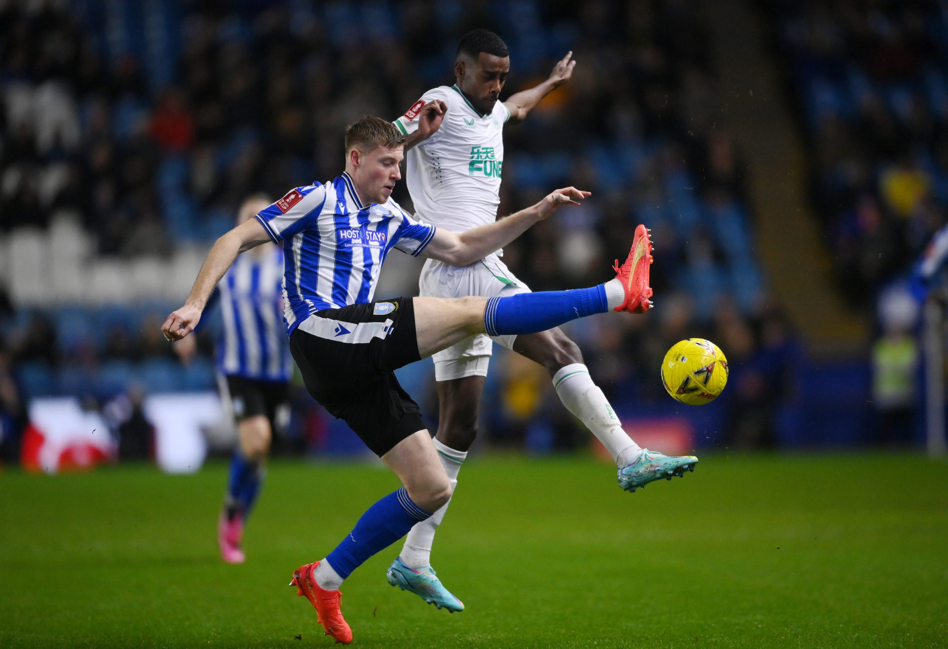 Sheffield Wednesday v Newcastle United: Emirates FA Cup Third Round