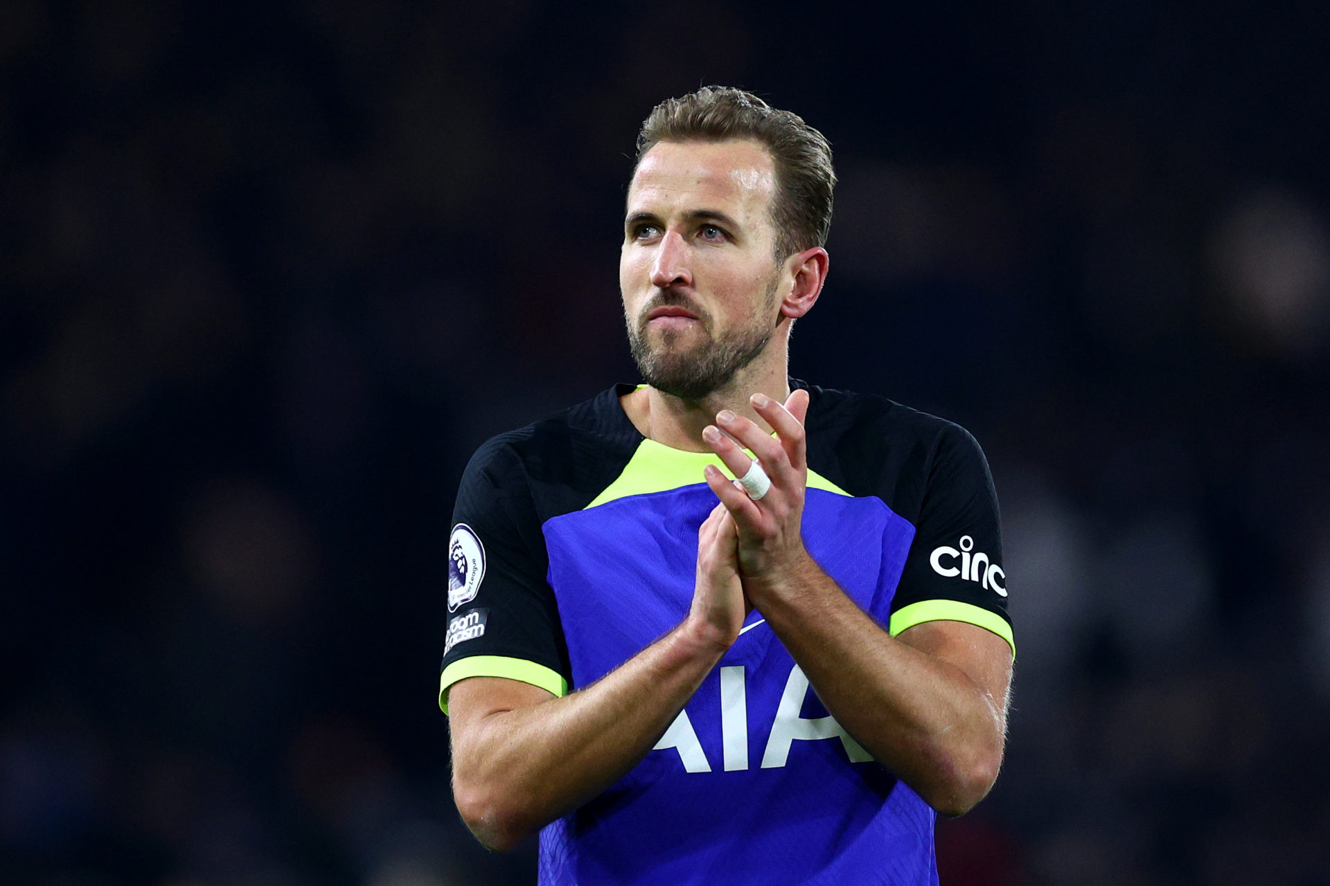 Fulham FC v Tottenham Hotspur - Premier League