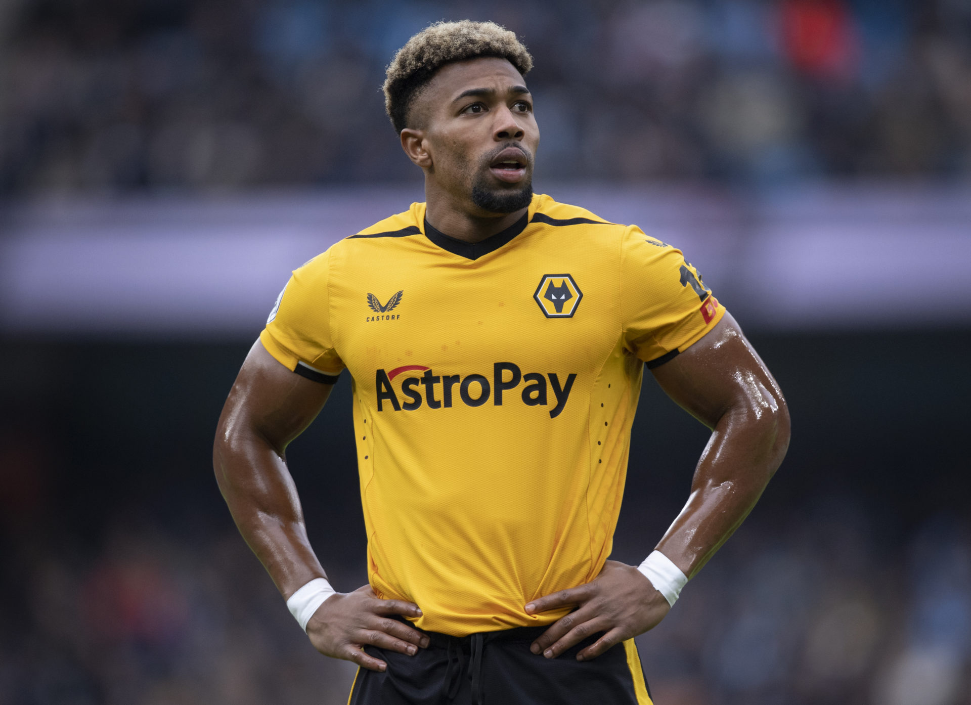 Manchester City v Wolverhampton Wanderers - Premier League