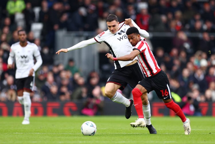 Tim Sherwood shares Amad Diallo verdict after Sunderland FA Cup draw with Fulham