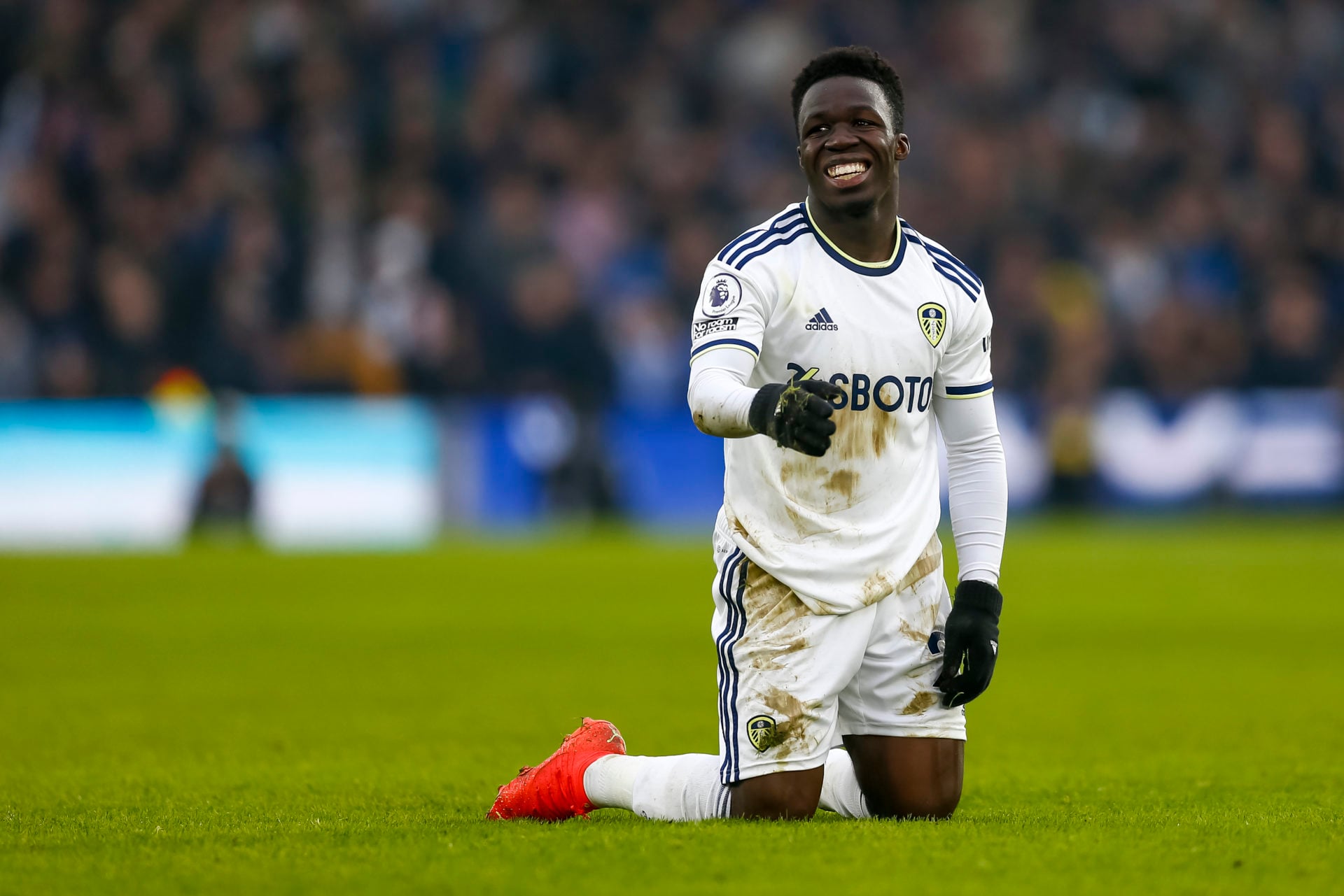 Leeds United Wilfried Gnonto