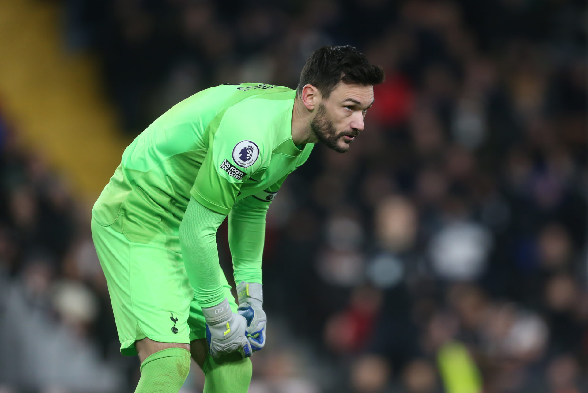 Fulham FC v Tottenham Hotspur - Premier League